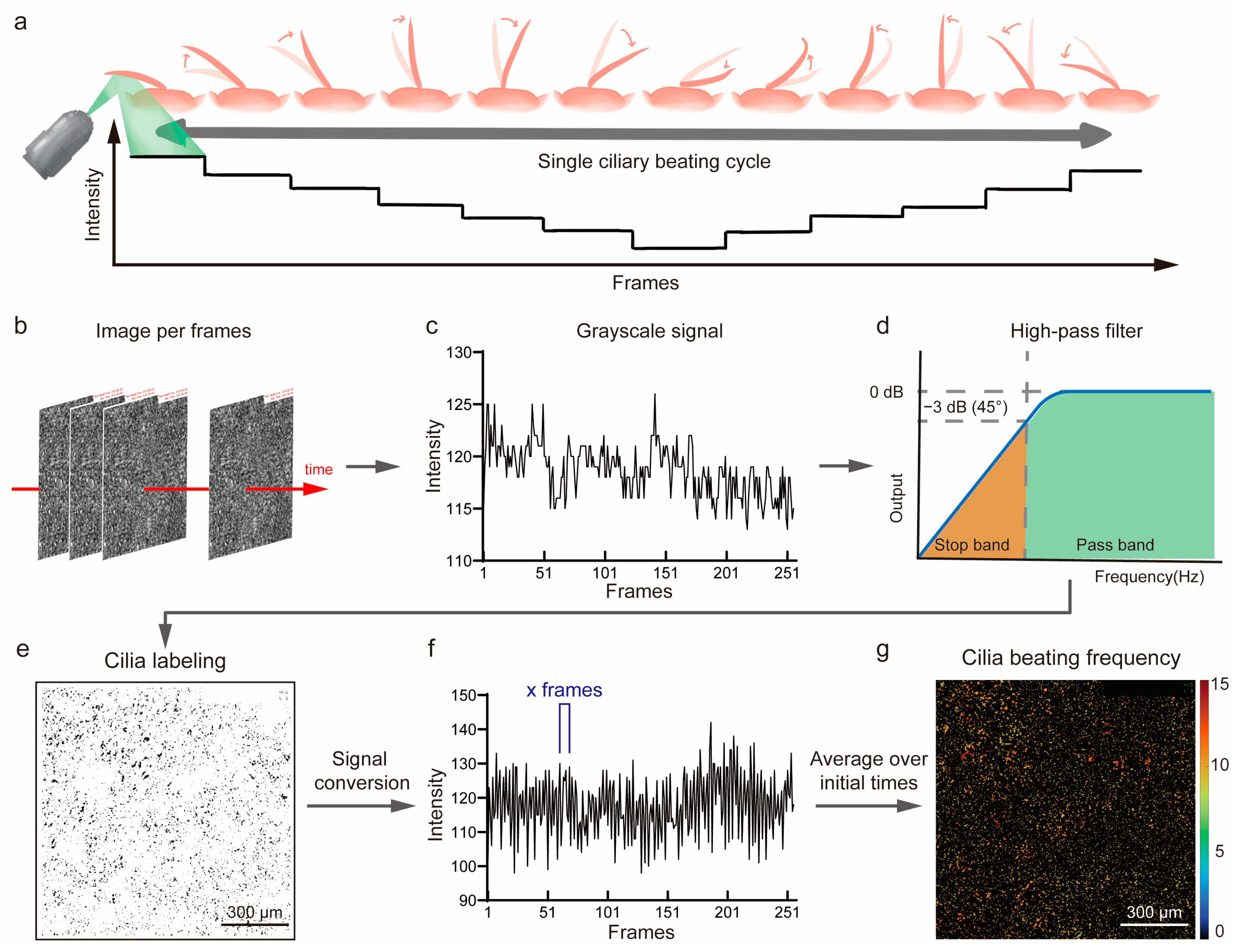 Biosensors 14 00581 g003