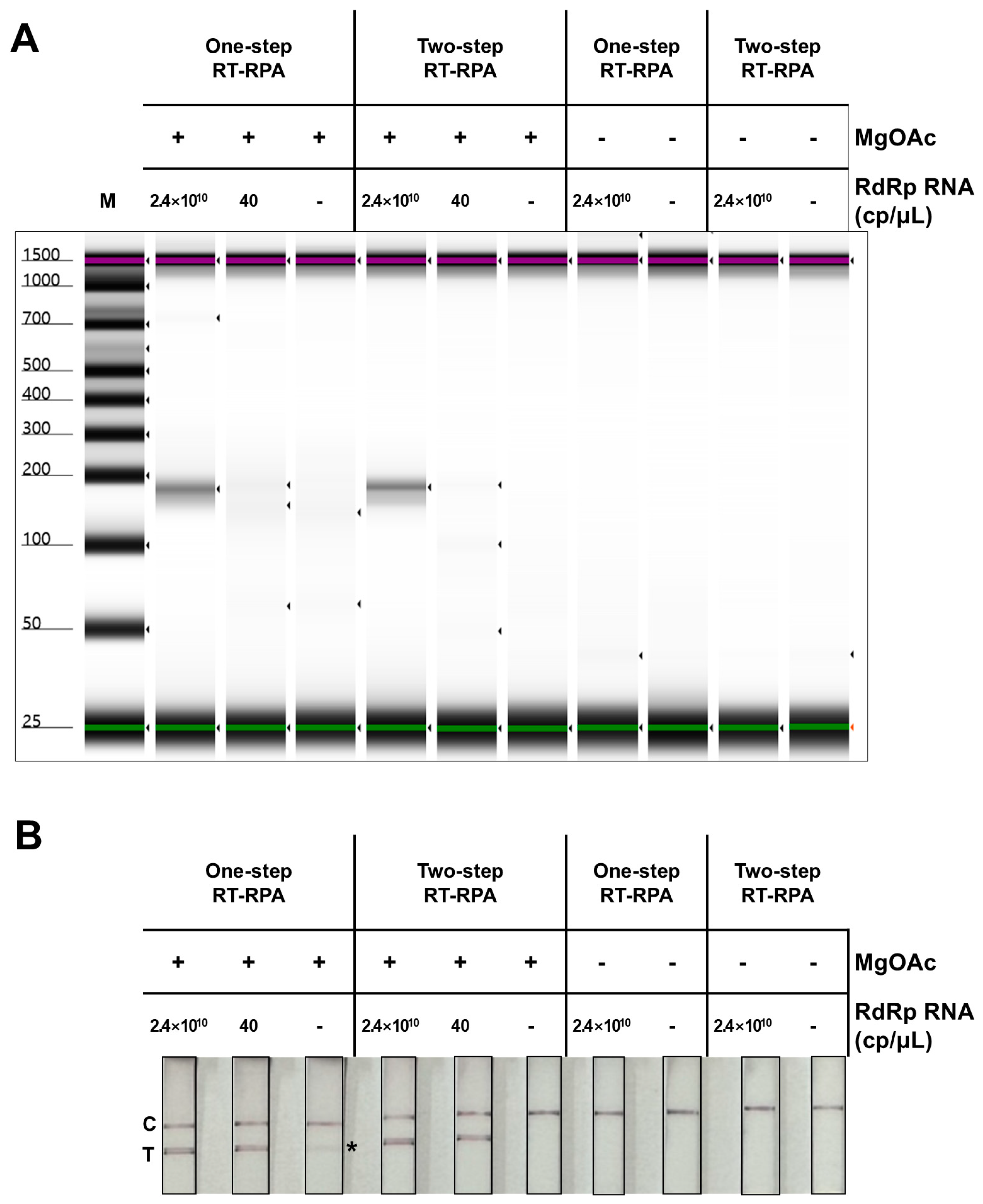 Biosensors 14 00585 g003