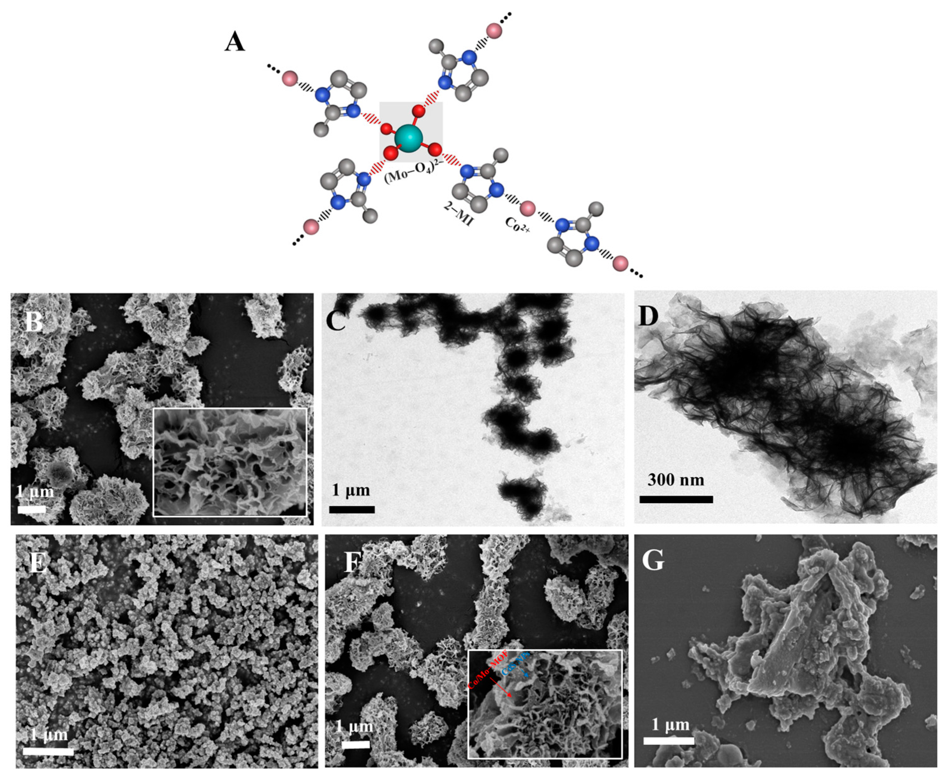 Biosensors 14 00586 g001