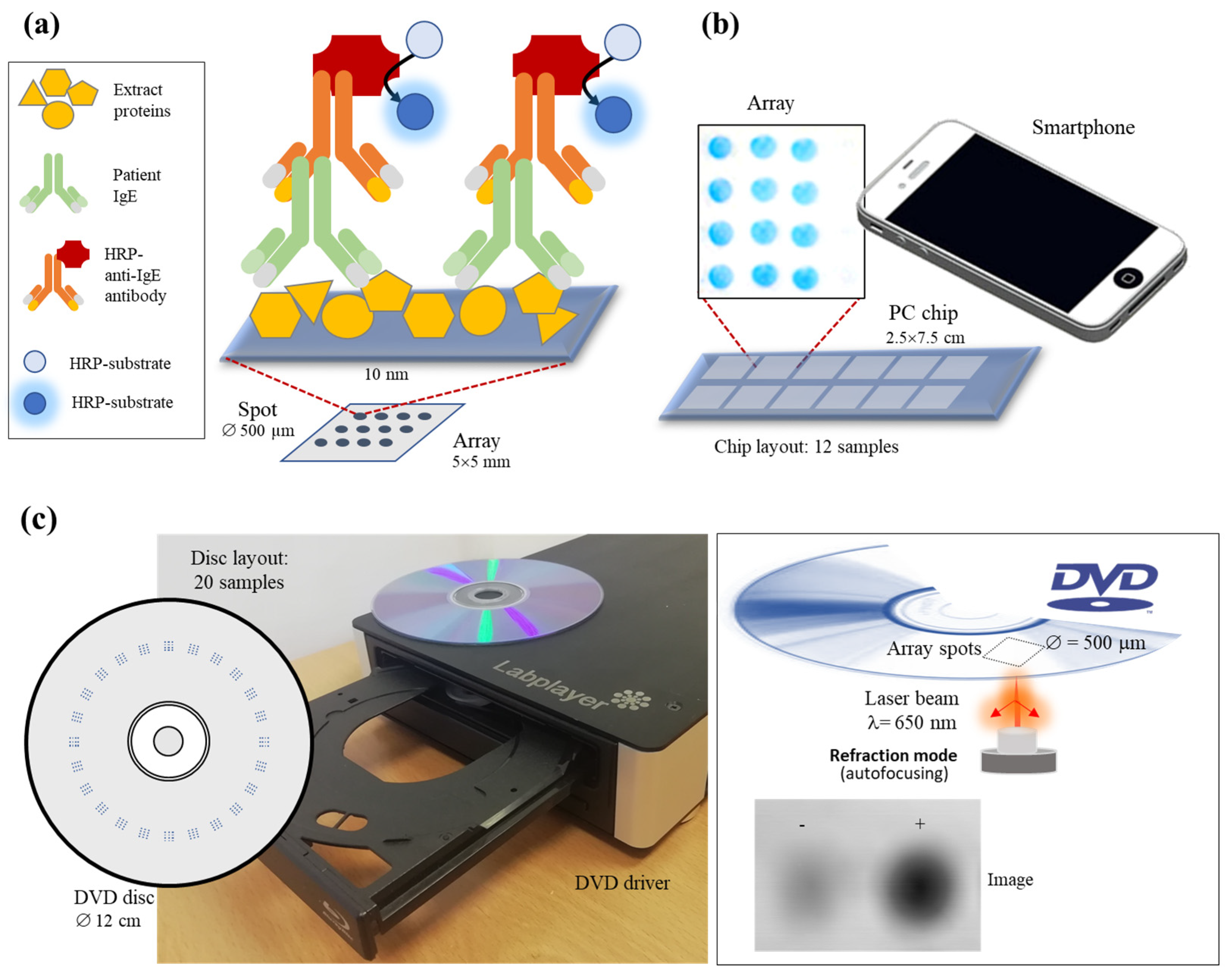 Biosensors 14 00615 g001 Biosensors 14 00615 g001