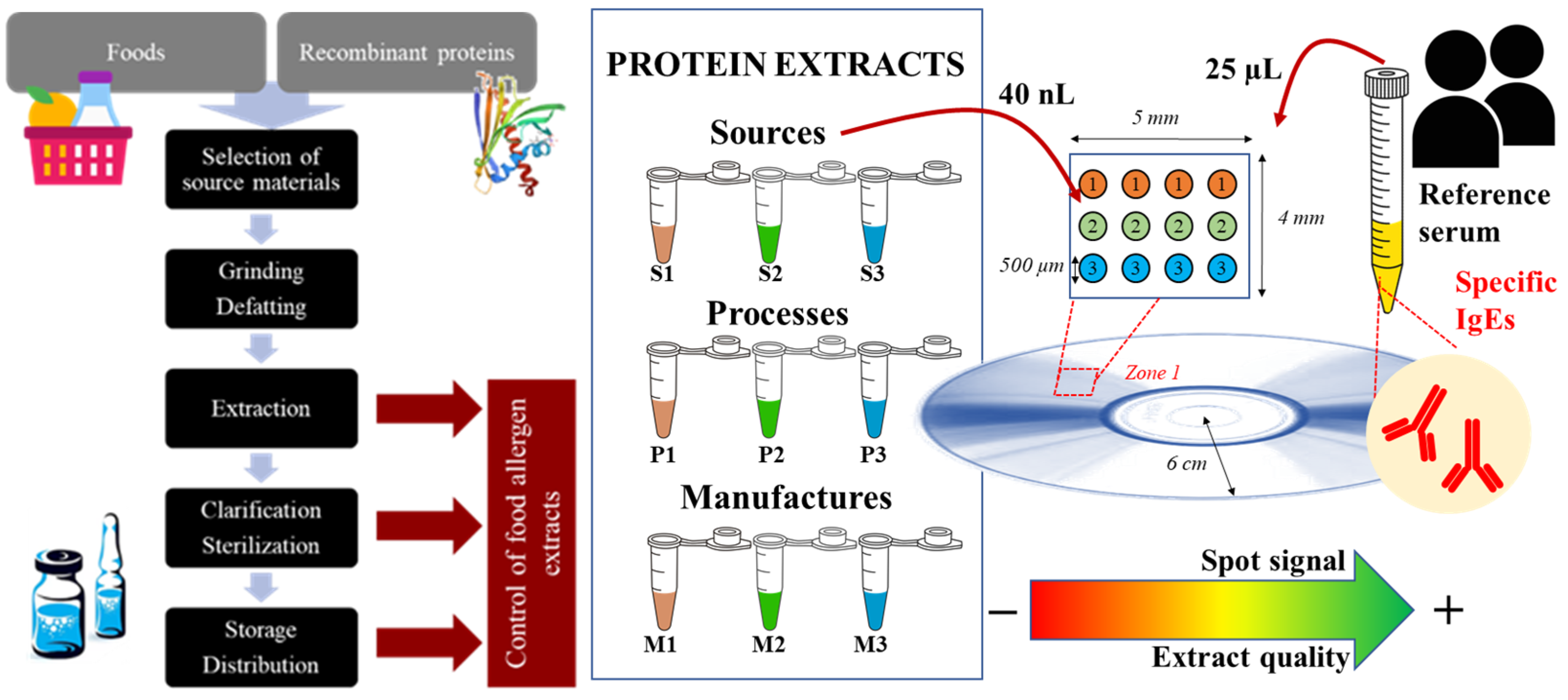 Biosensors 14 00615 g006 Biosensors 14 00615 g006