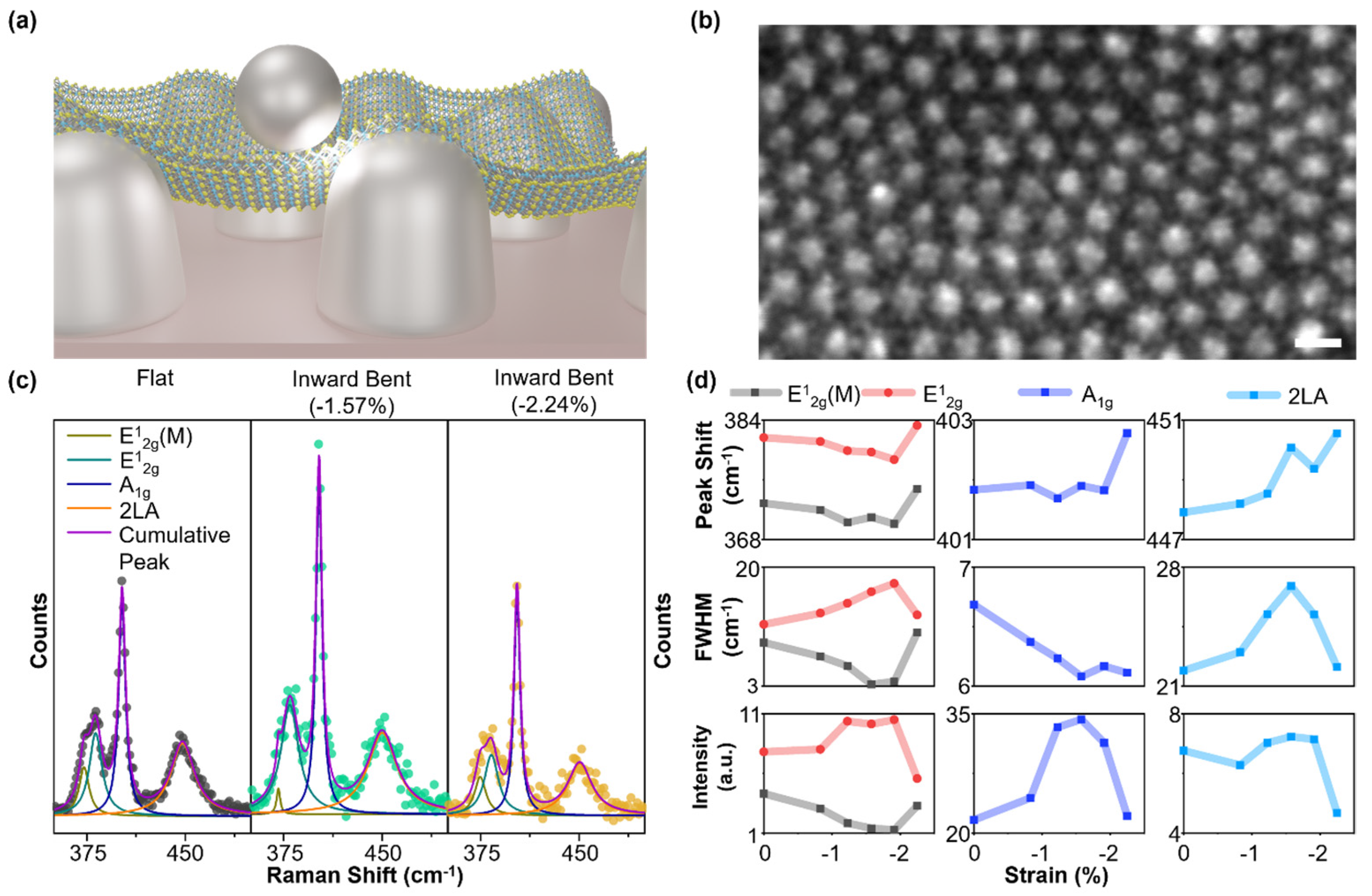 Biosensors 14 00619 g004