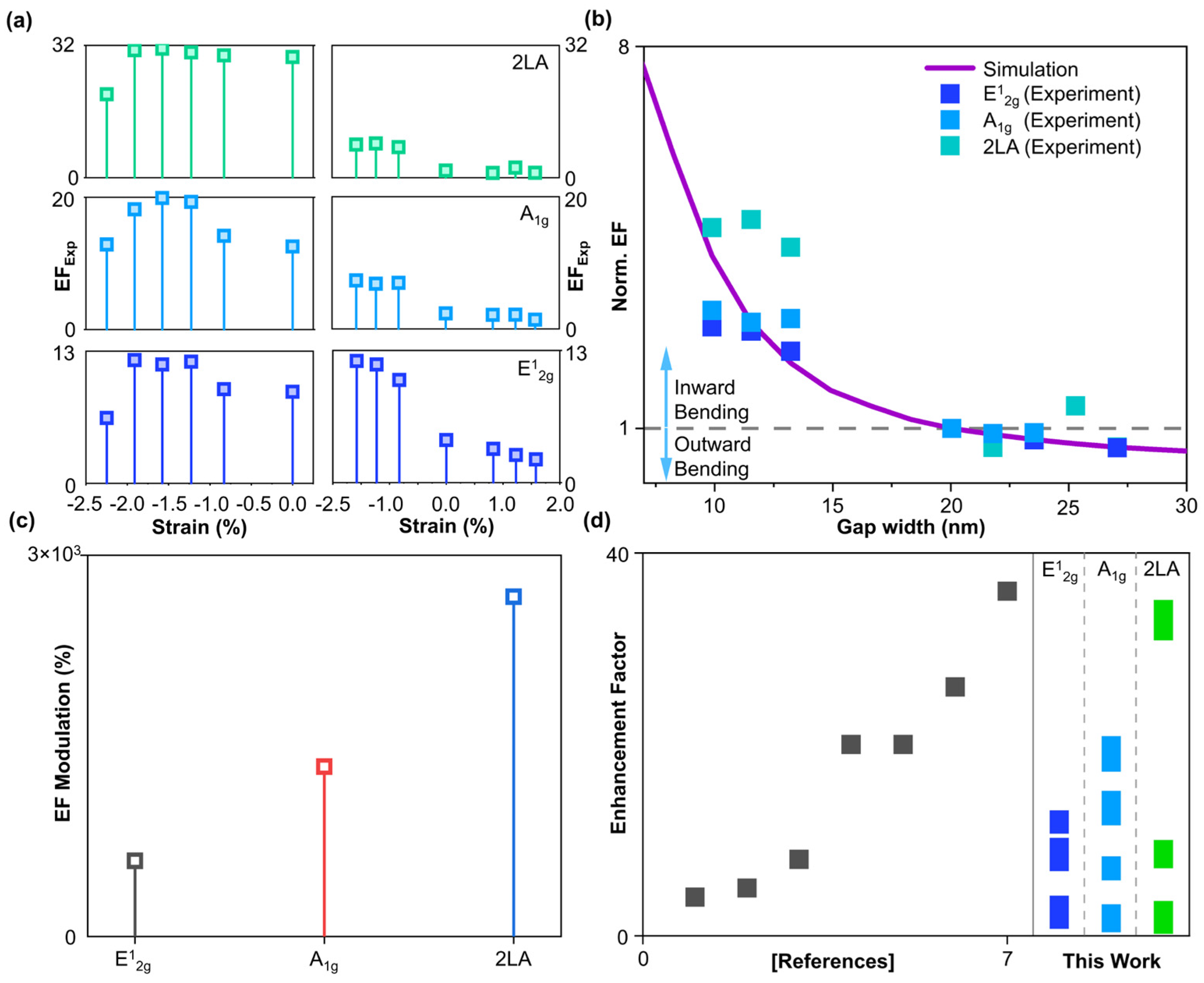 Biosensors 14 00619 g005
