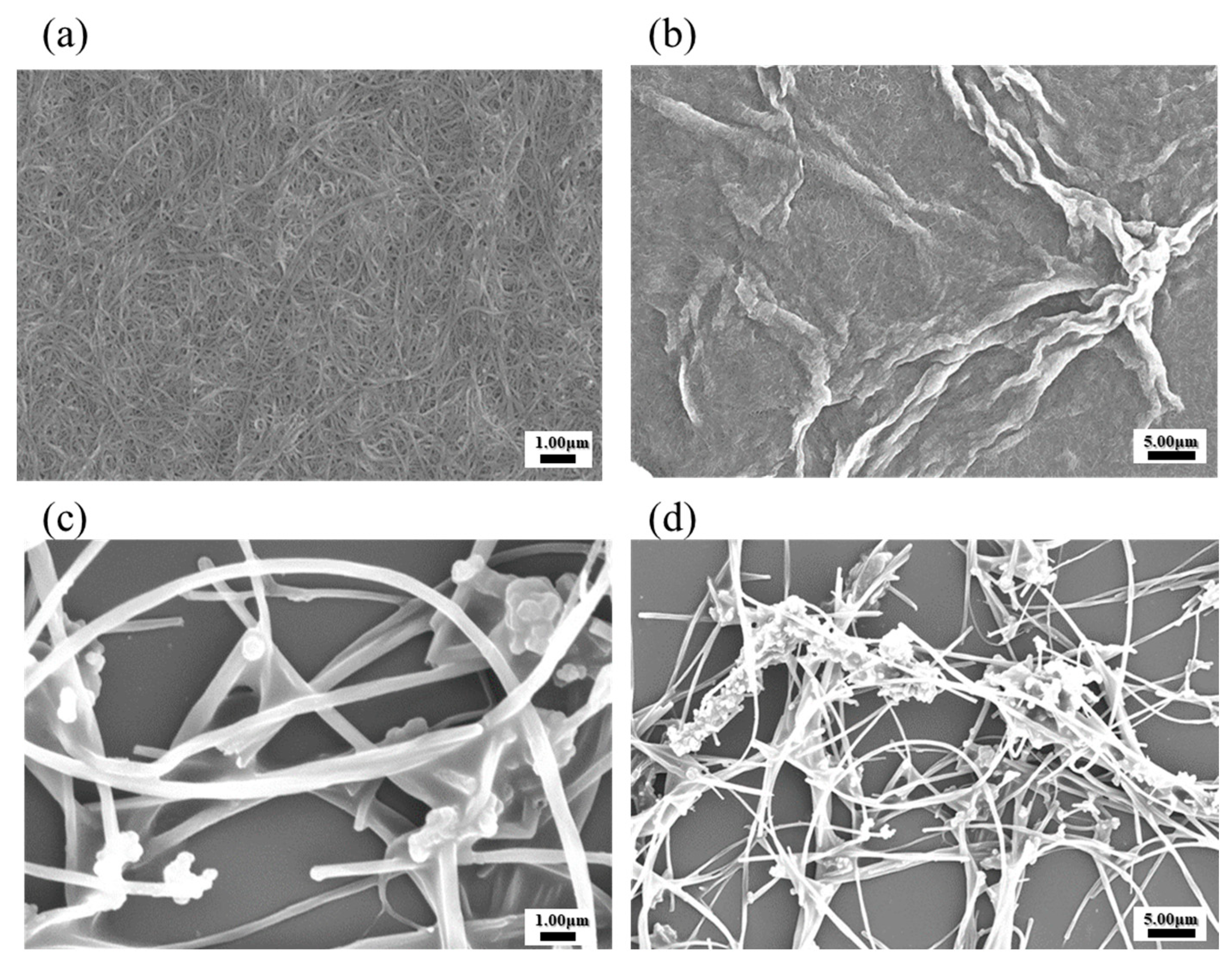 Biosensors 14 00630 g003