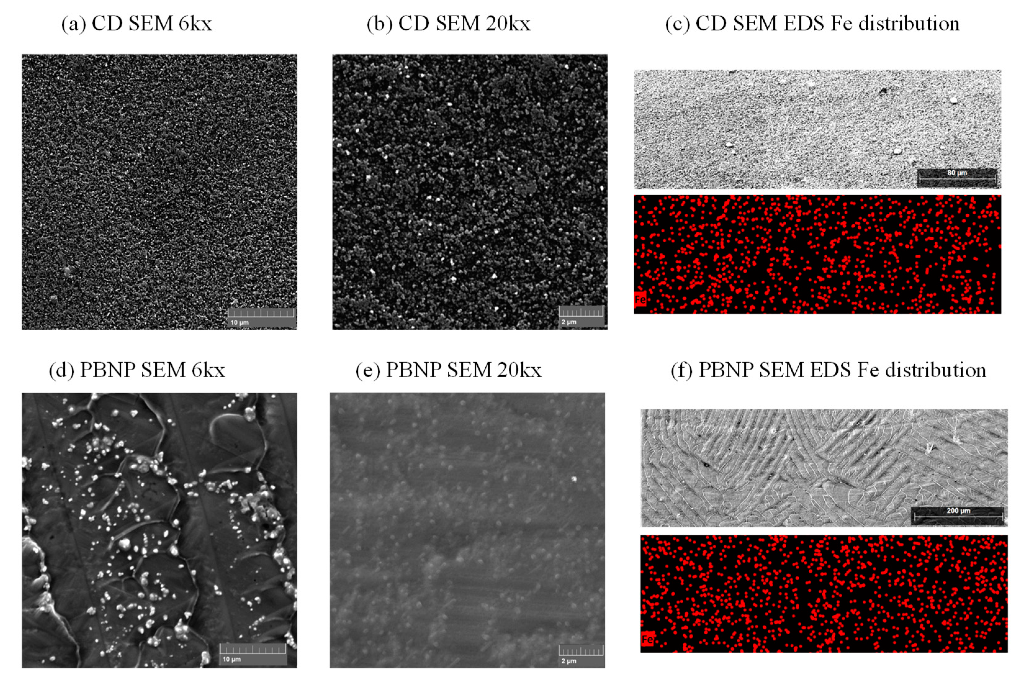 Biosensors 15 00028 g005