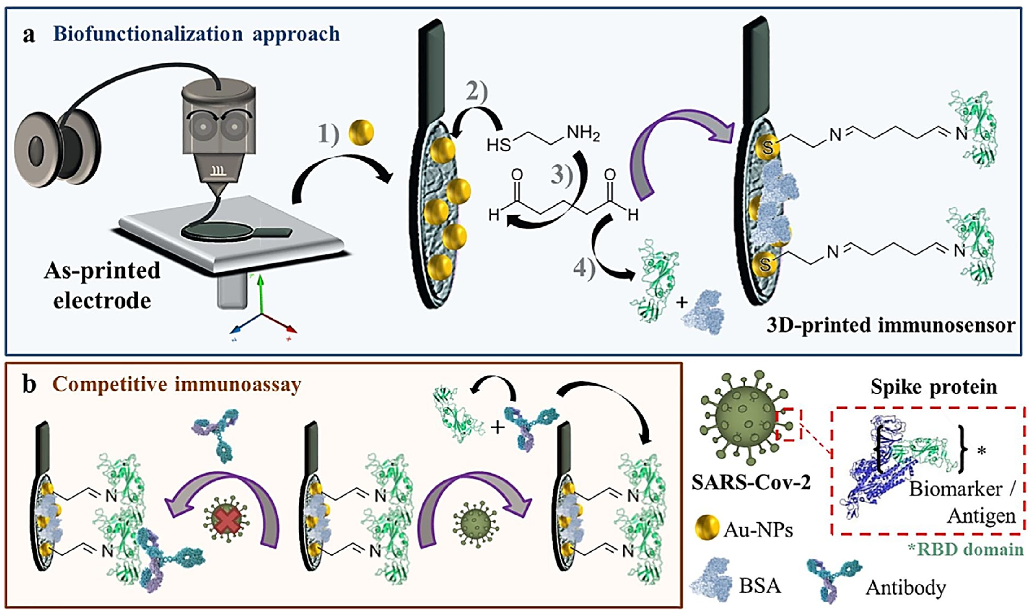 Biosensors 15 00057 g004