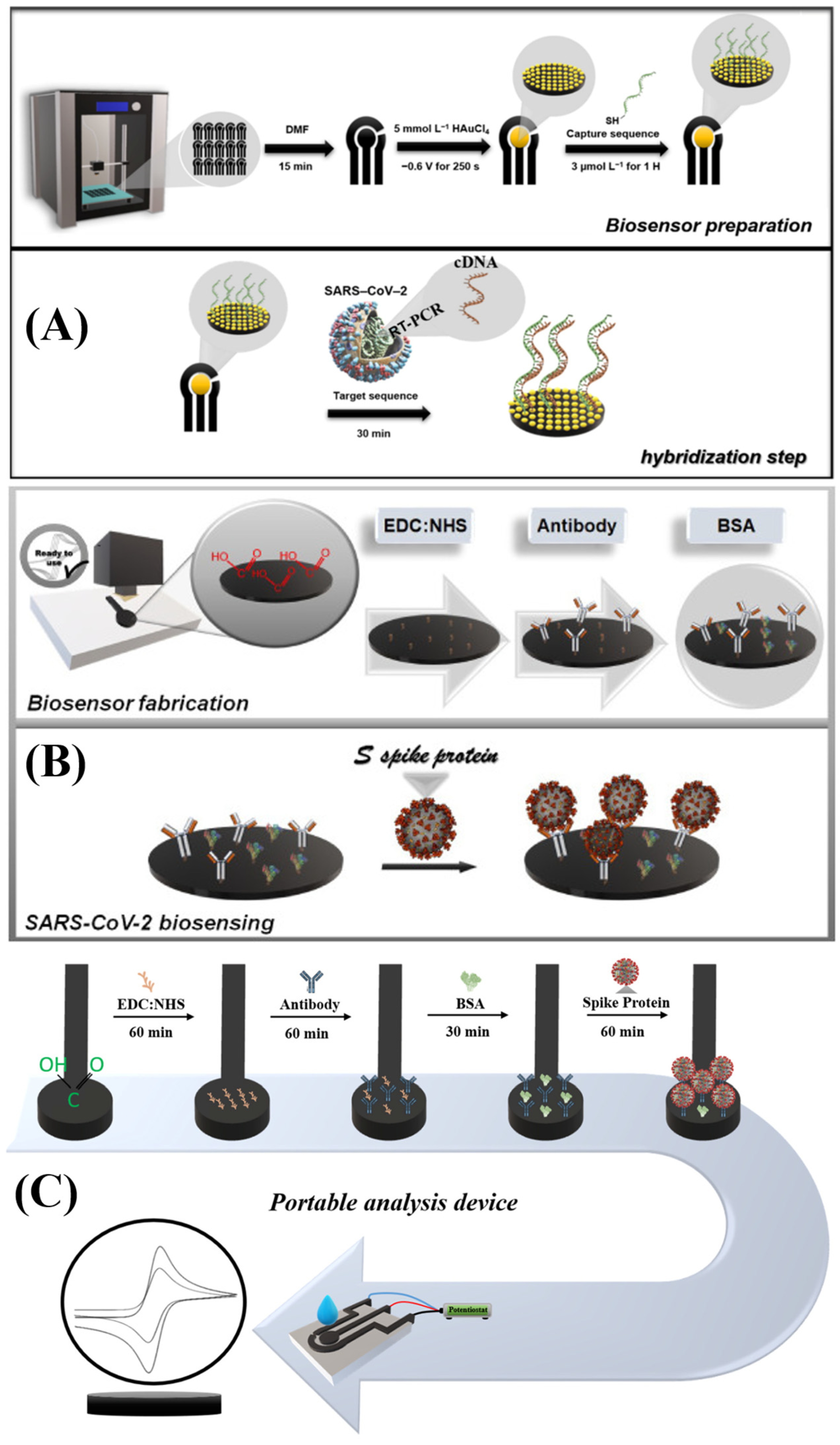 Biosensors 15 00057 g005
