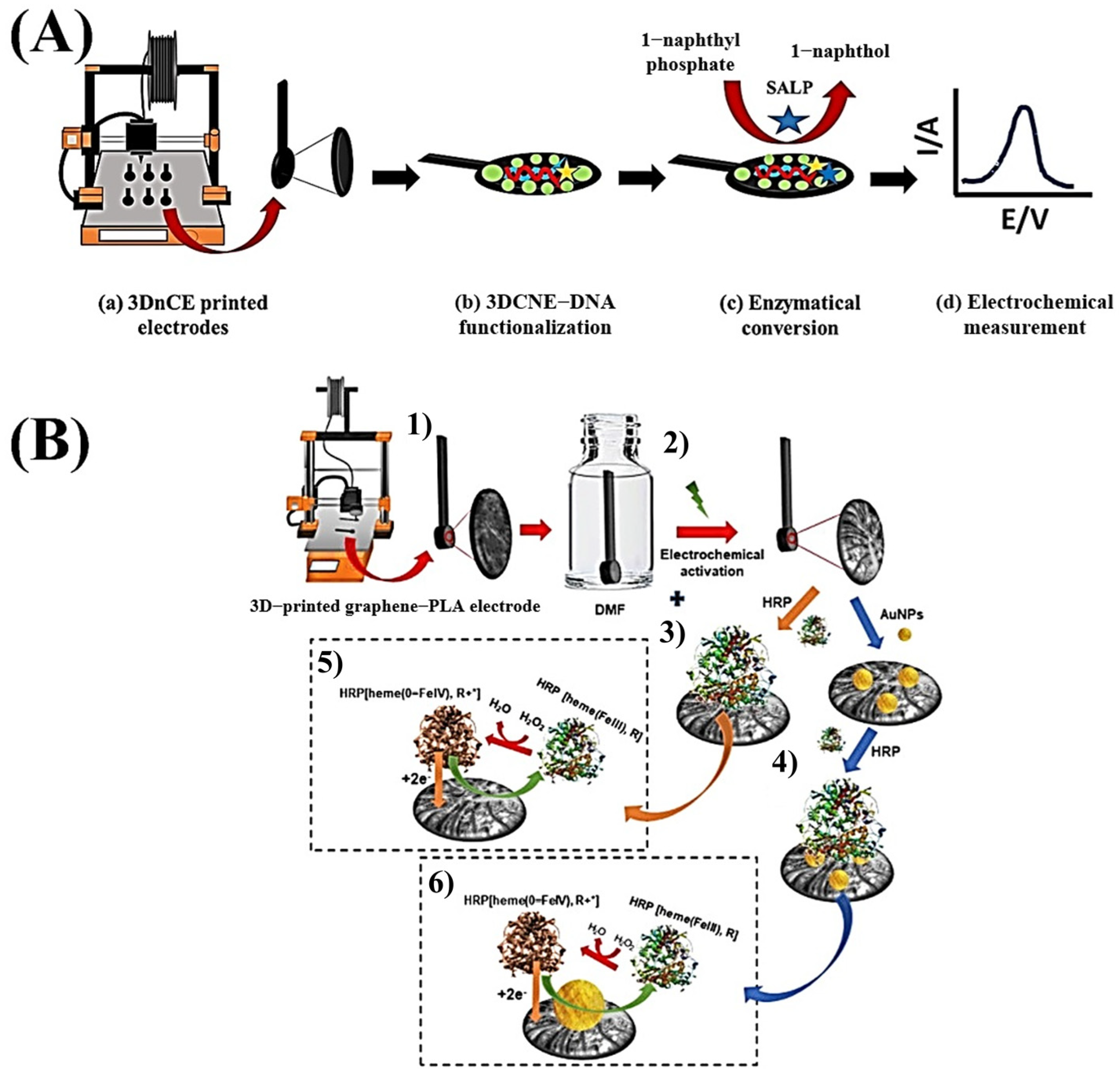 Biosensors 15 00057 g007