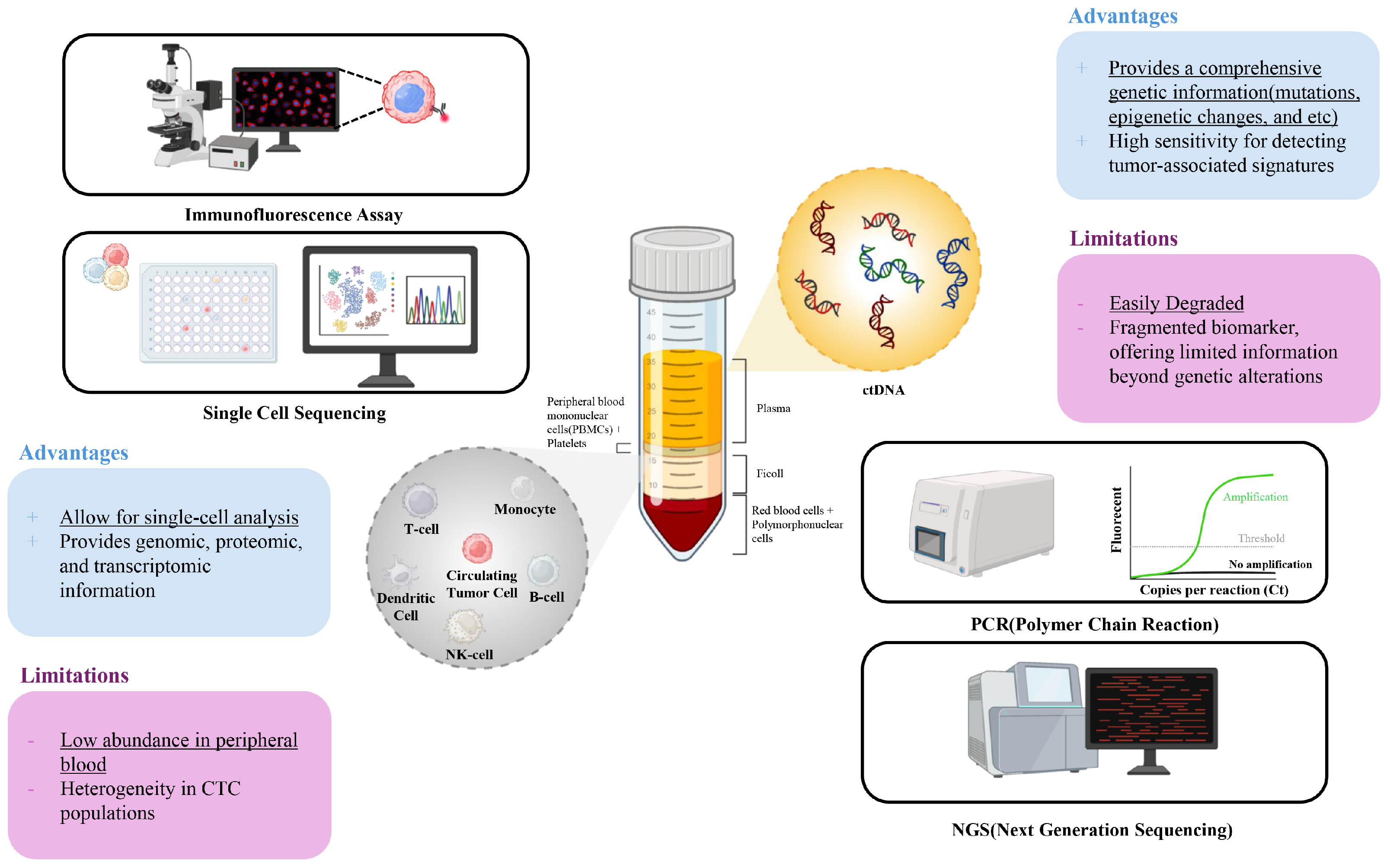 Biosensors 15 00074 g001