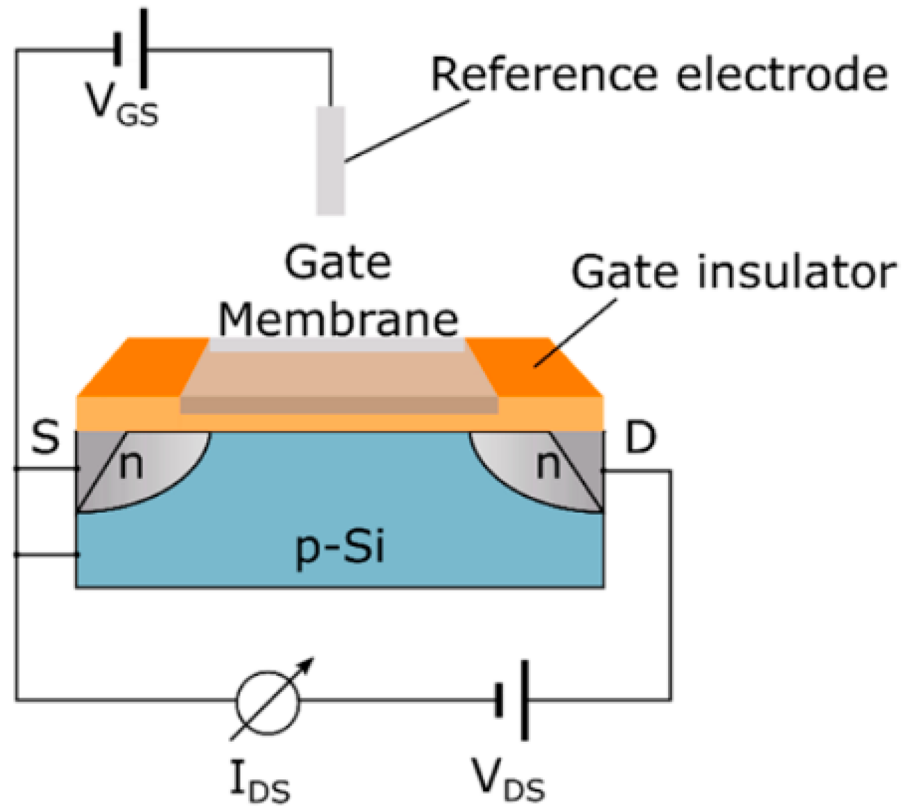 Biosensors 15 00076 g003