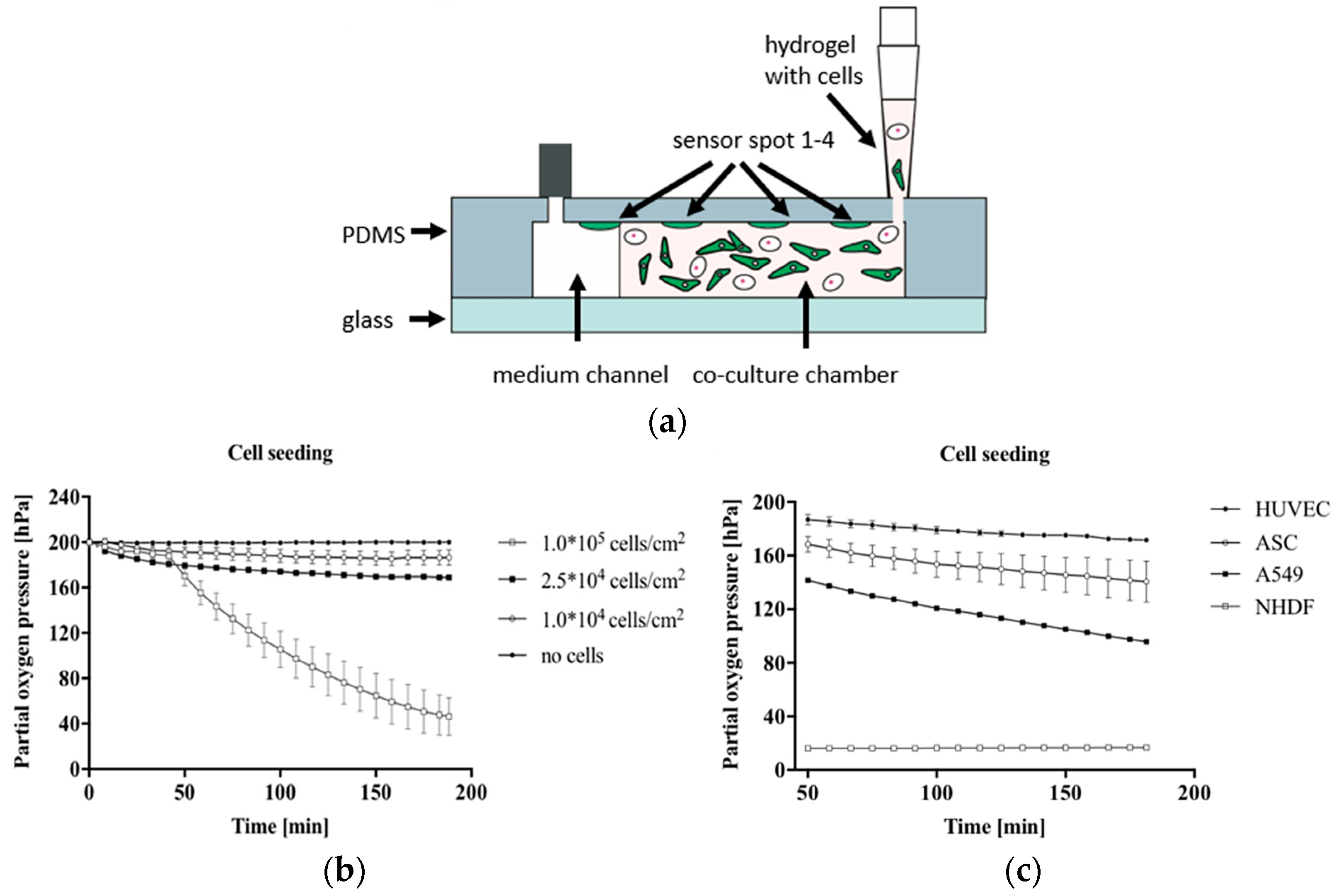 Biosensors 15 00076 g008