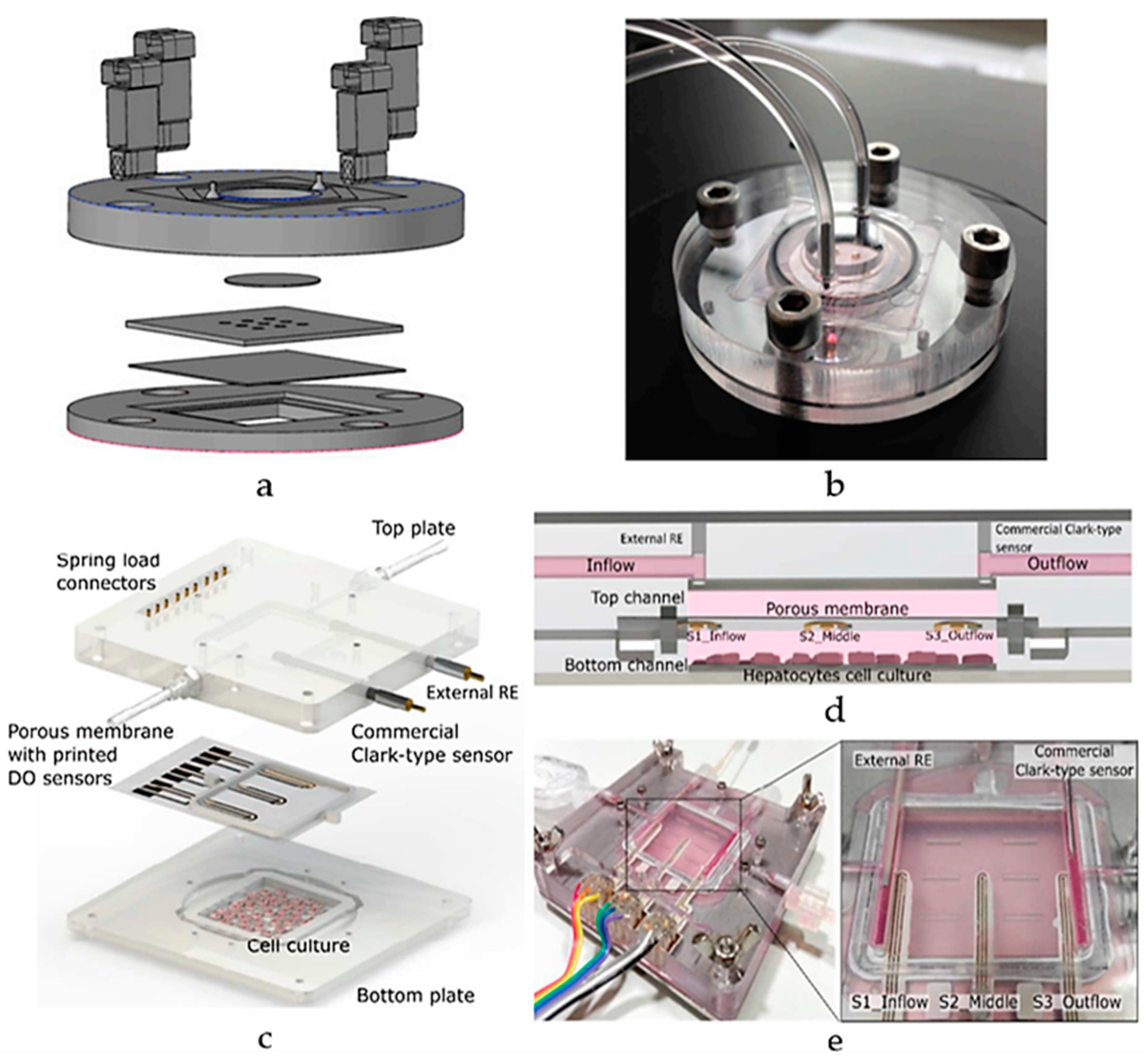 Biosensors 15 00076 g013