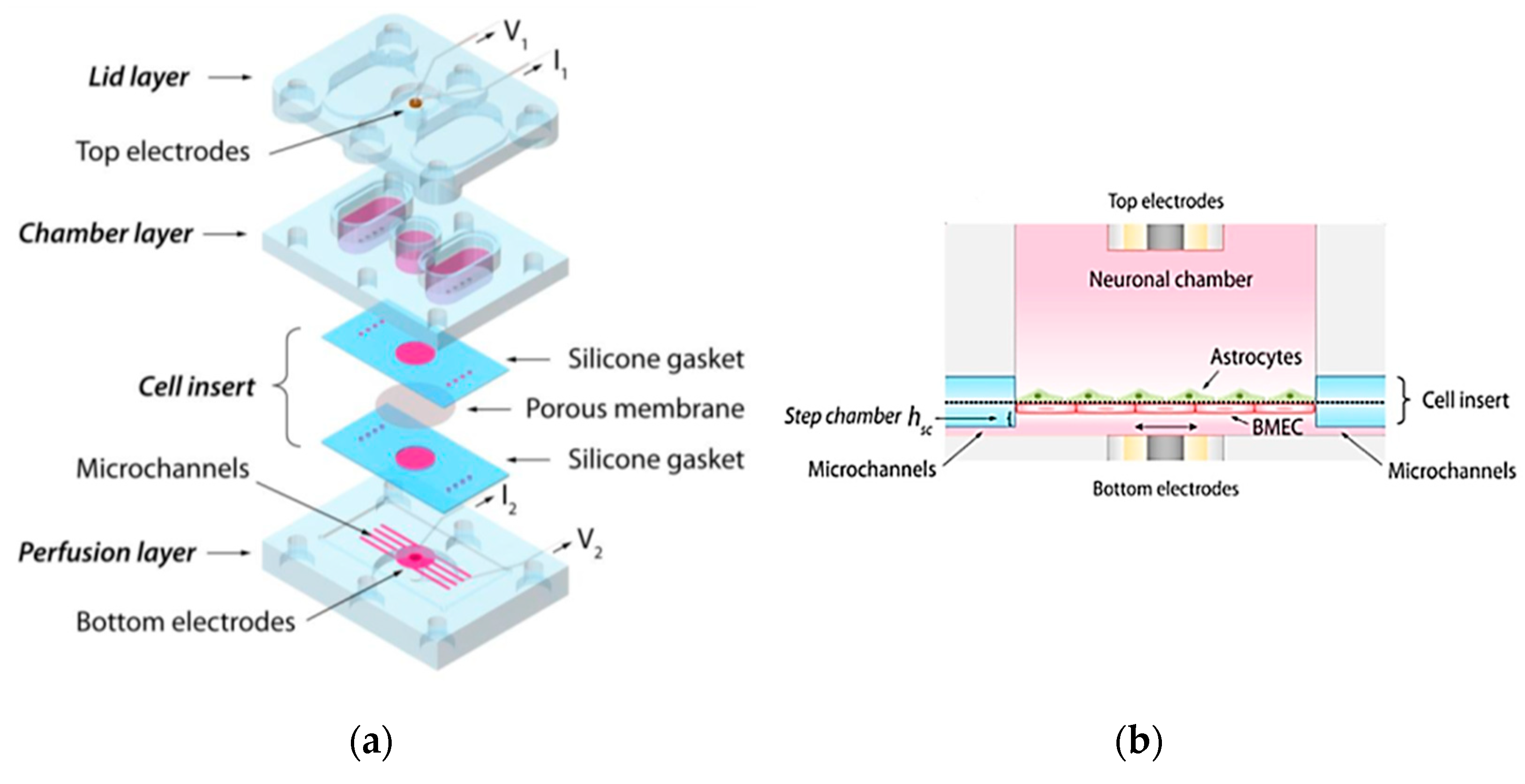 Biosensors 15 00076 g015a