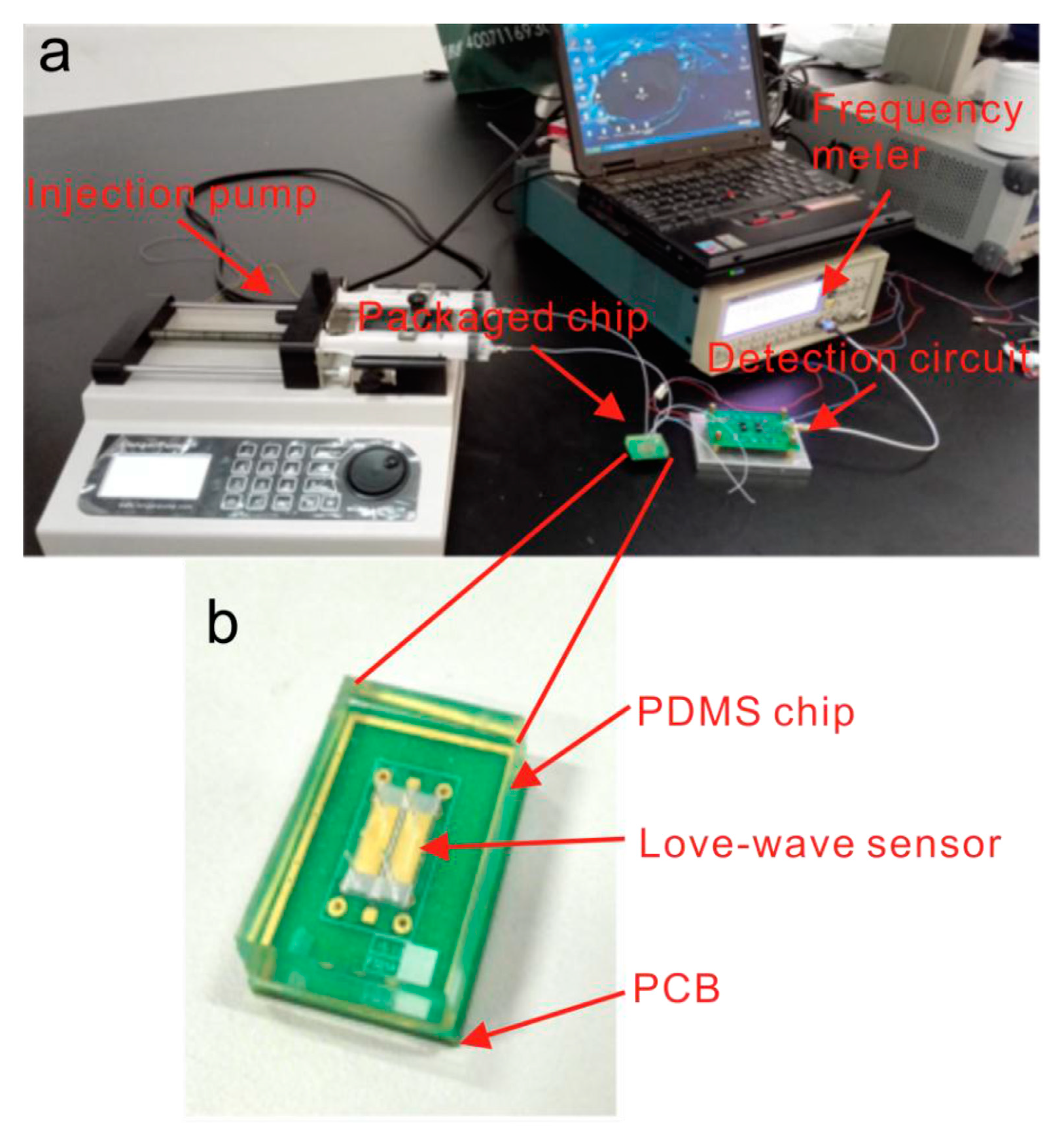 Biosensors 15 00088 g002 Biosensors 15 00088 g002