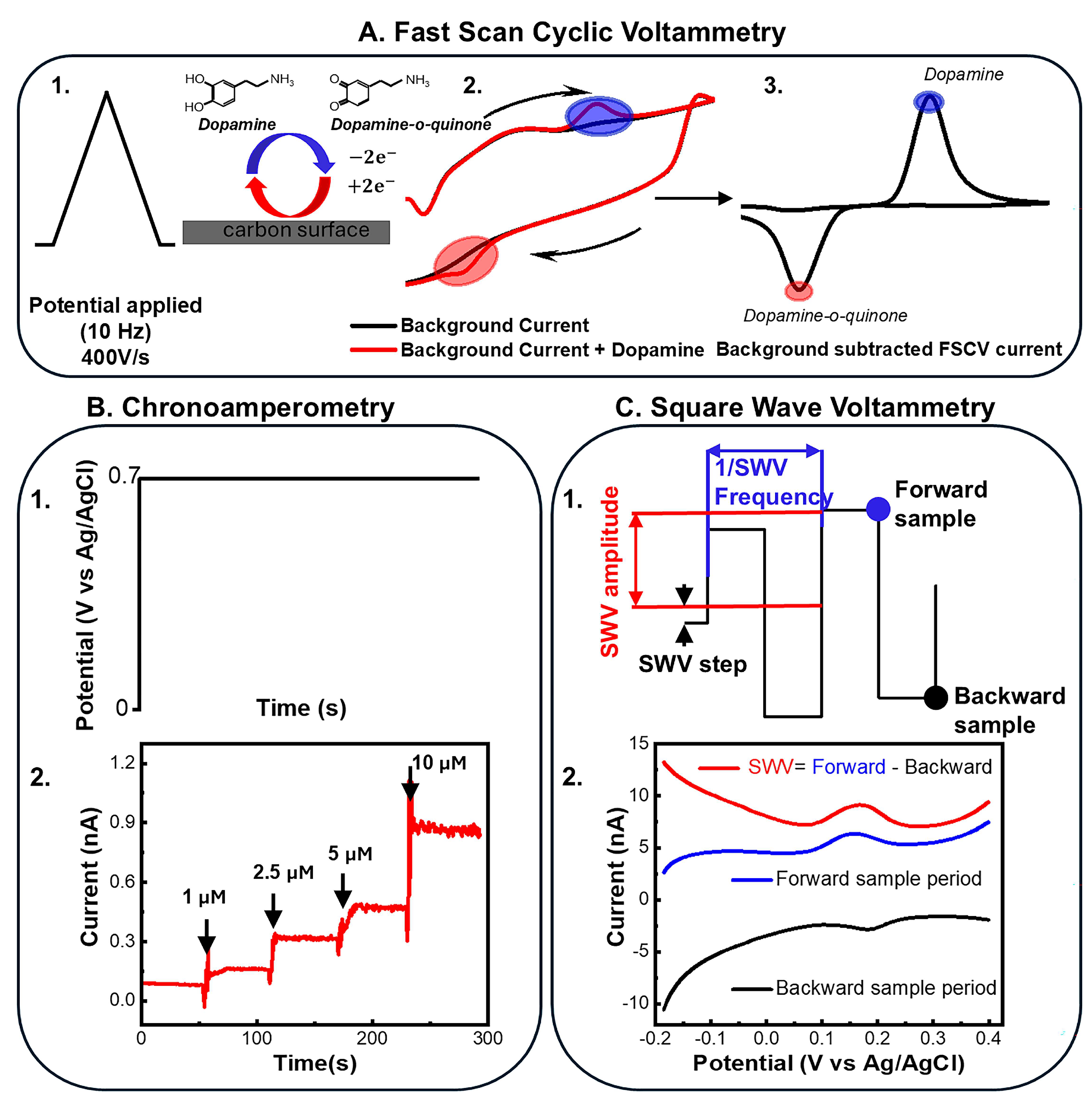 Biosensors 15 00100 g001