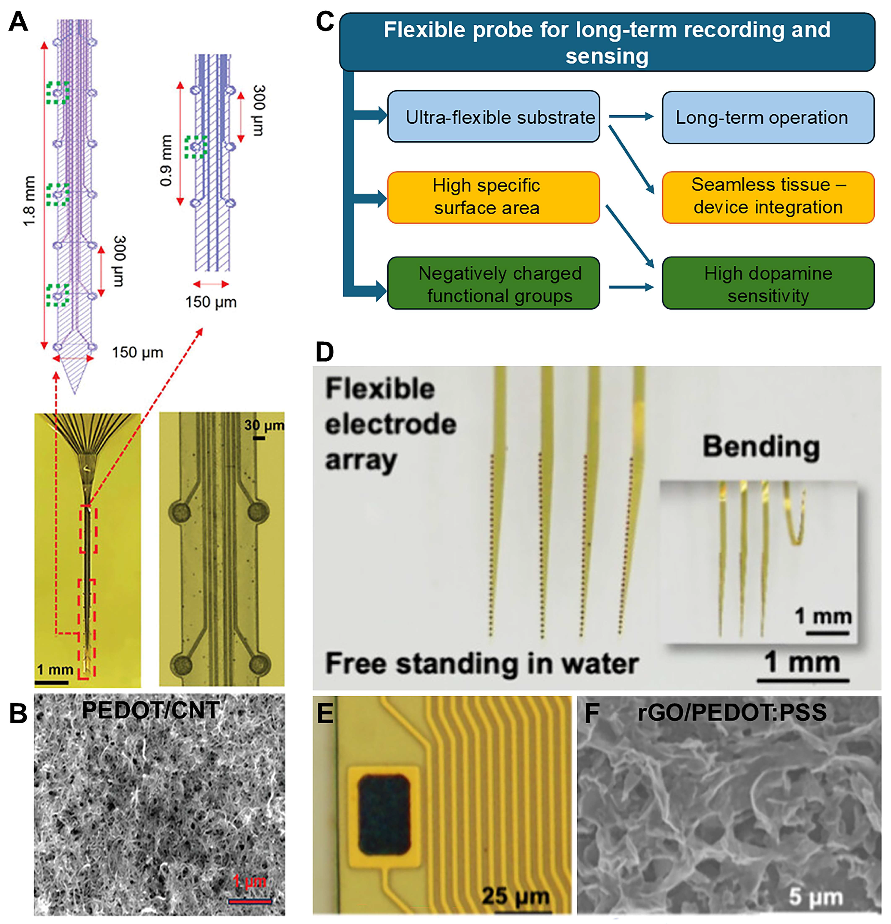 Biosensors 15 00100 g002