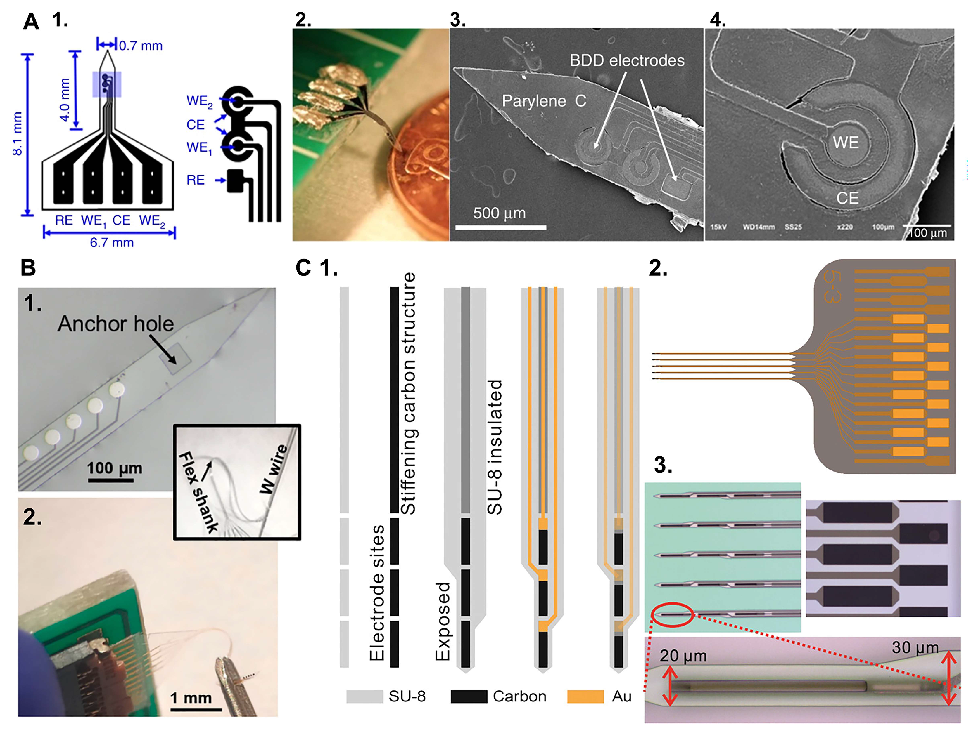 Biosensors 15 00100 g006