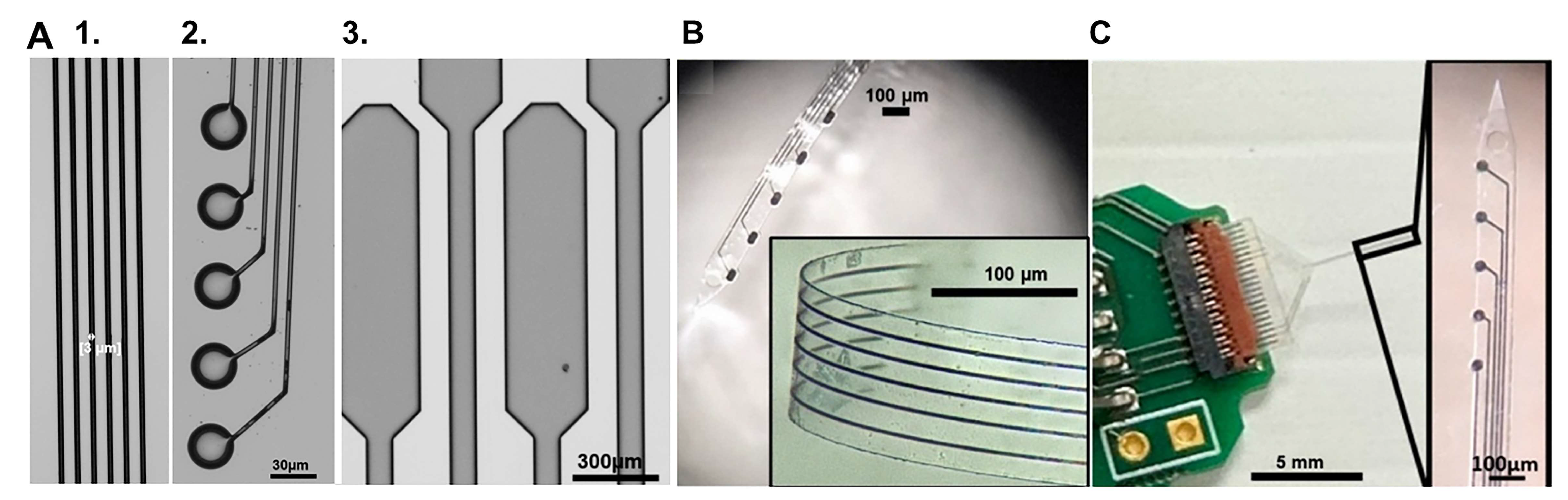 Biosensors 15 00100 g007