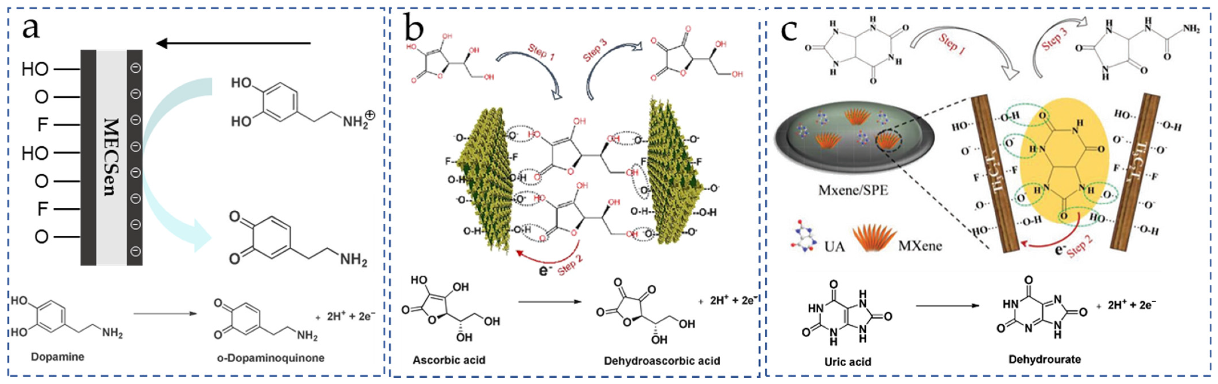 Biosensors 15 00107 g005