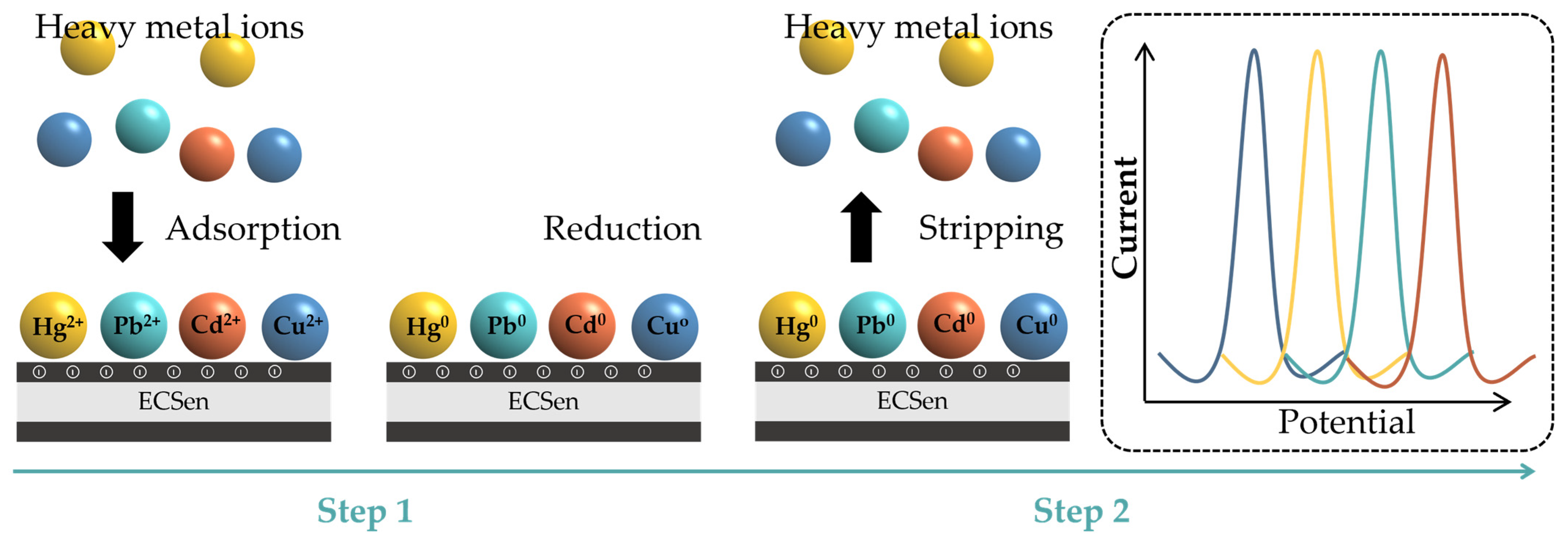 Biosensors 15 00107 g007