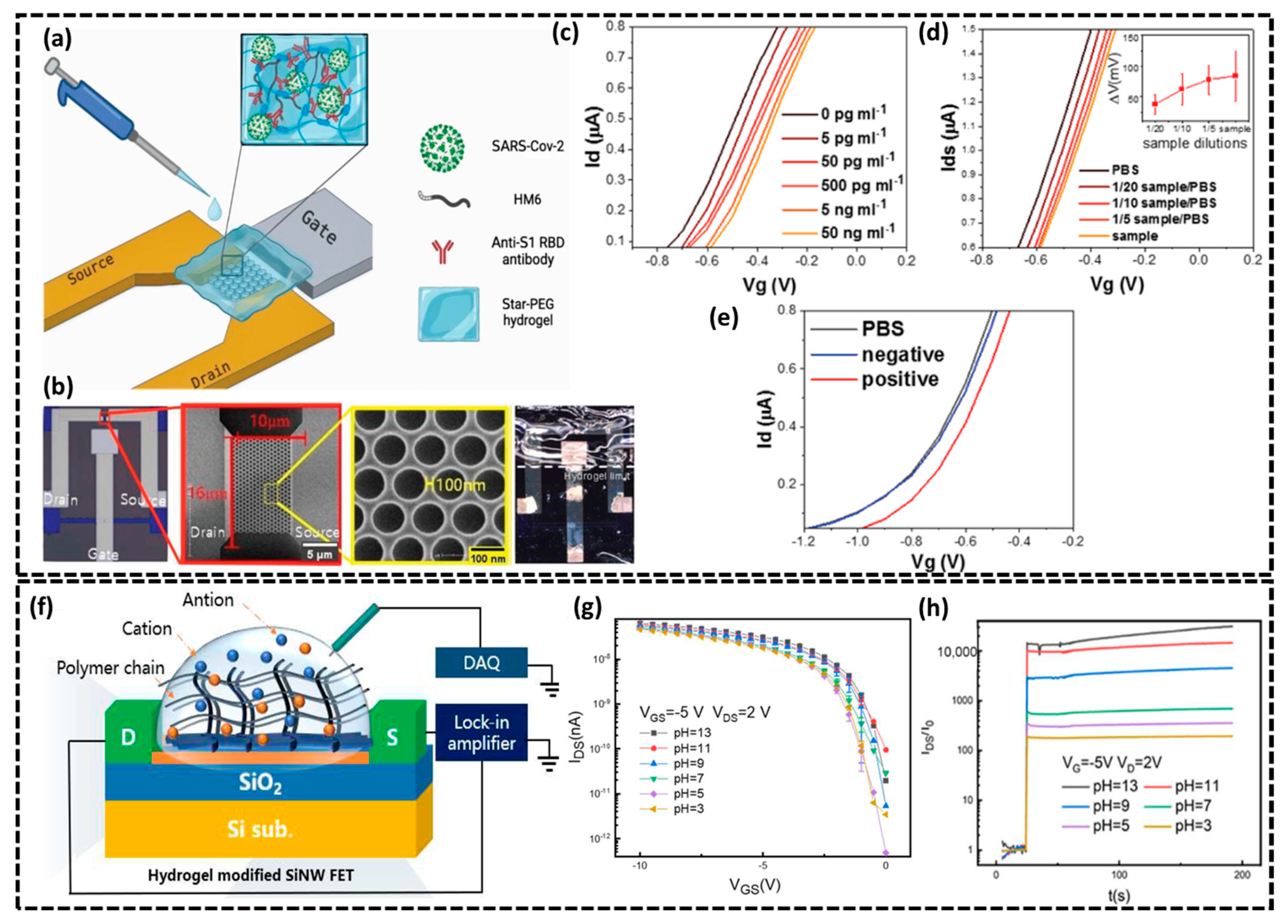 Biosensors 15 00119 g004