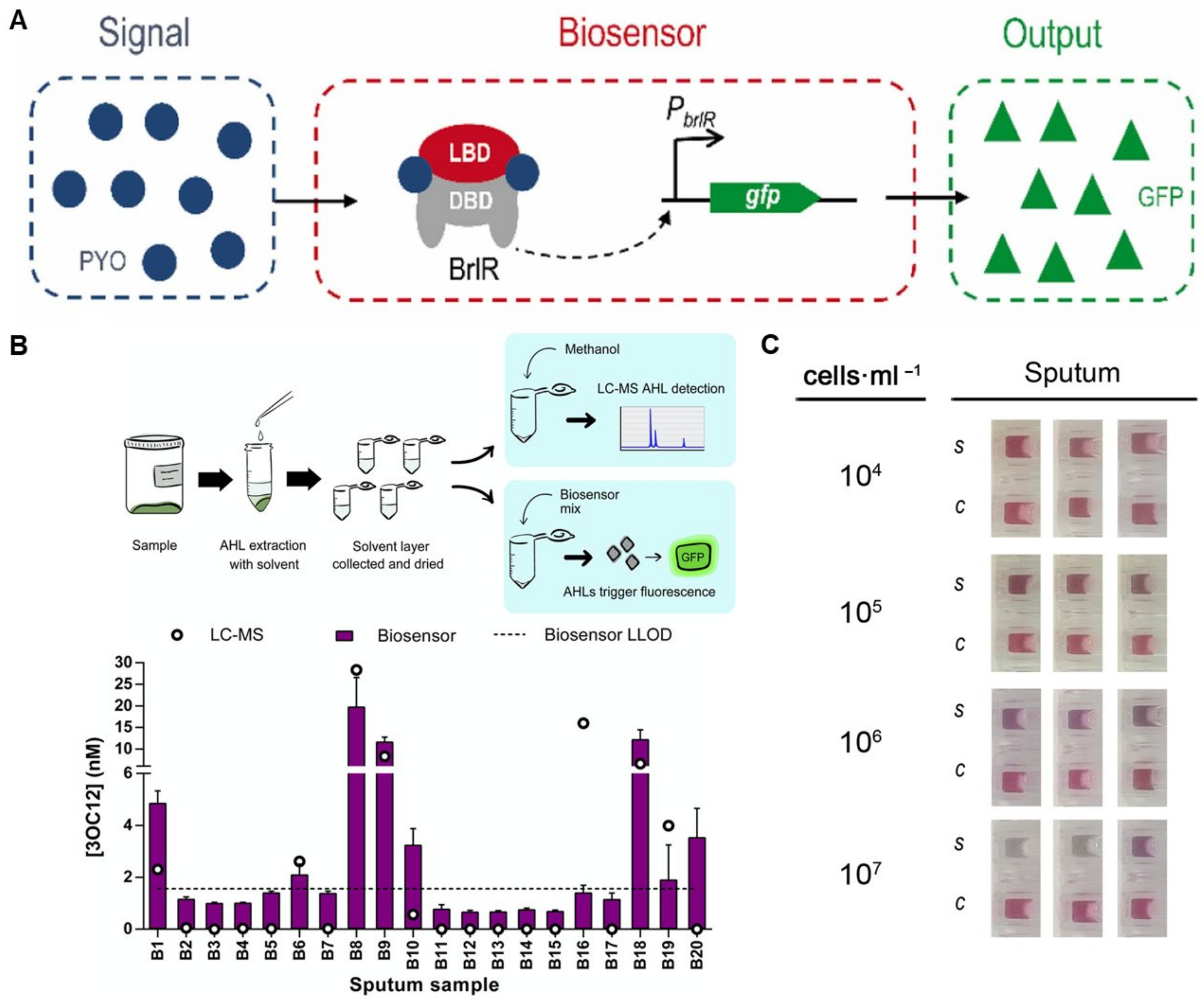 Biosensors 15 00129 g005