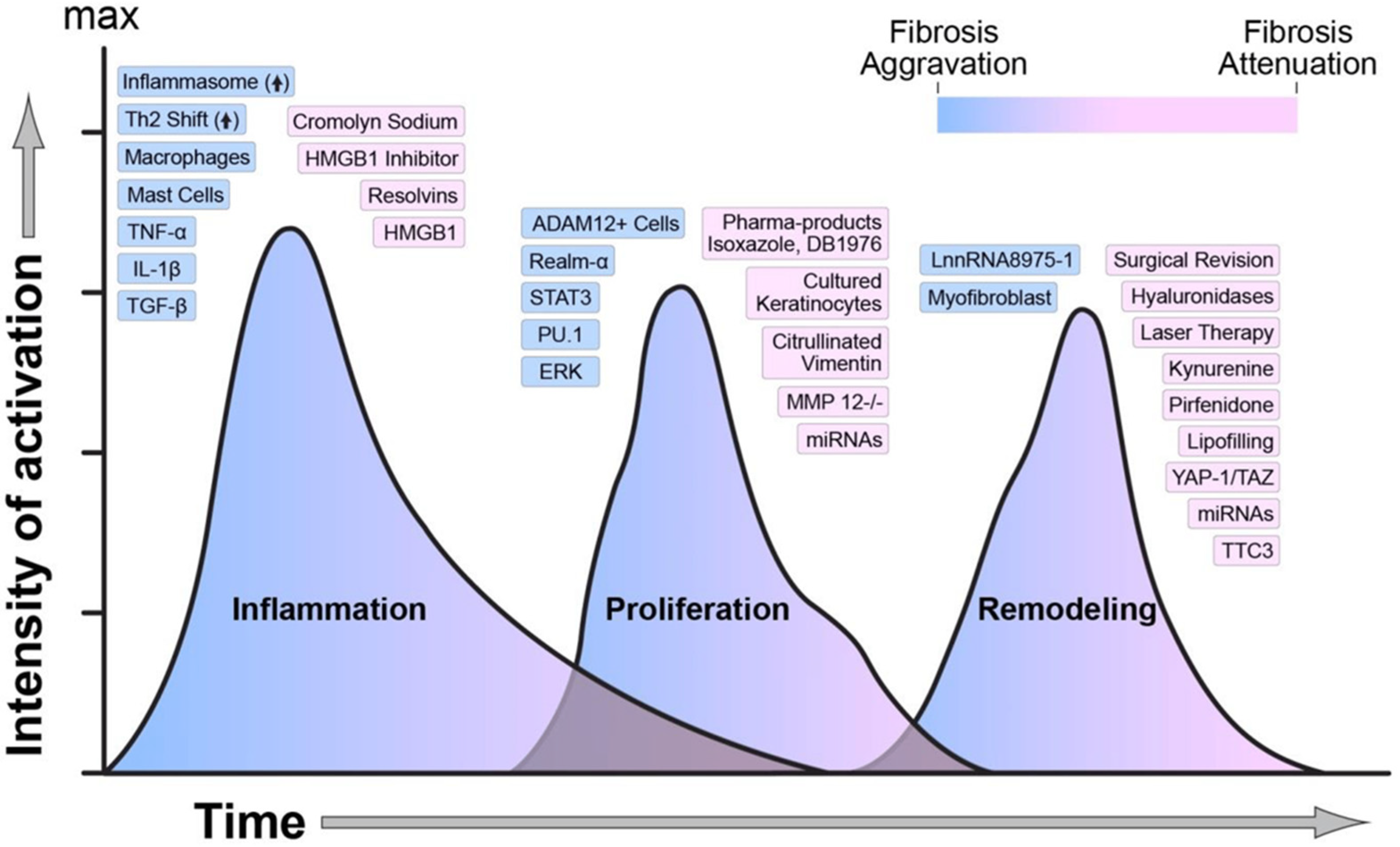 Biosensors 15 00139 g002