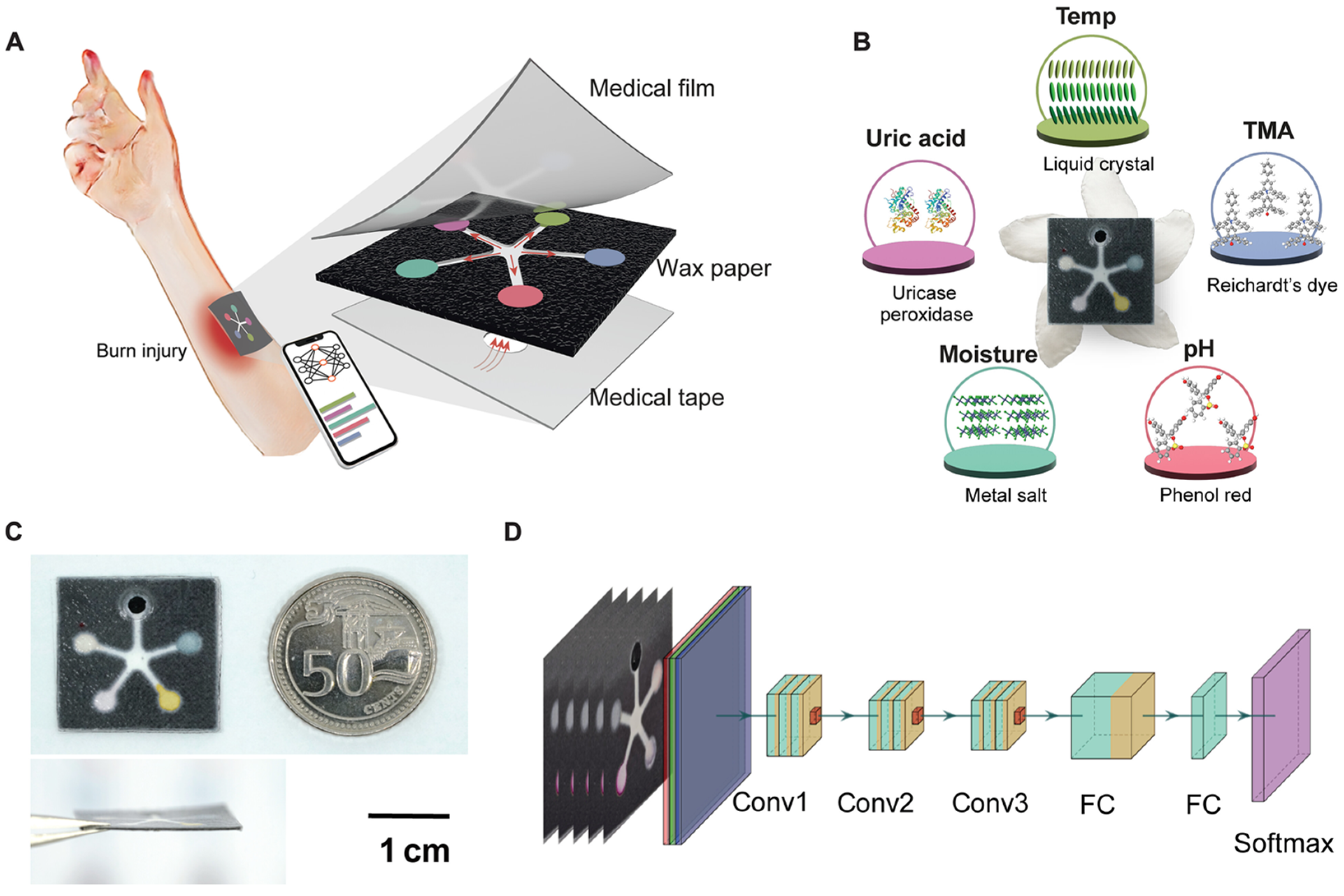 Biosensors 15 00139 g003