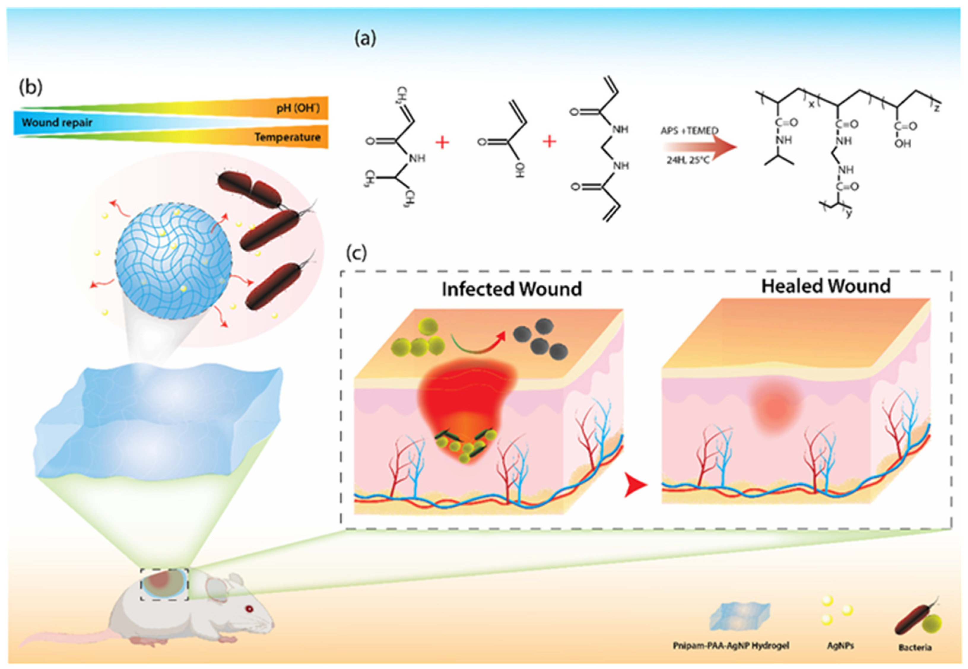 Biosensors 15 00139 g005