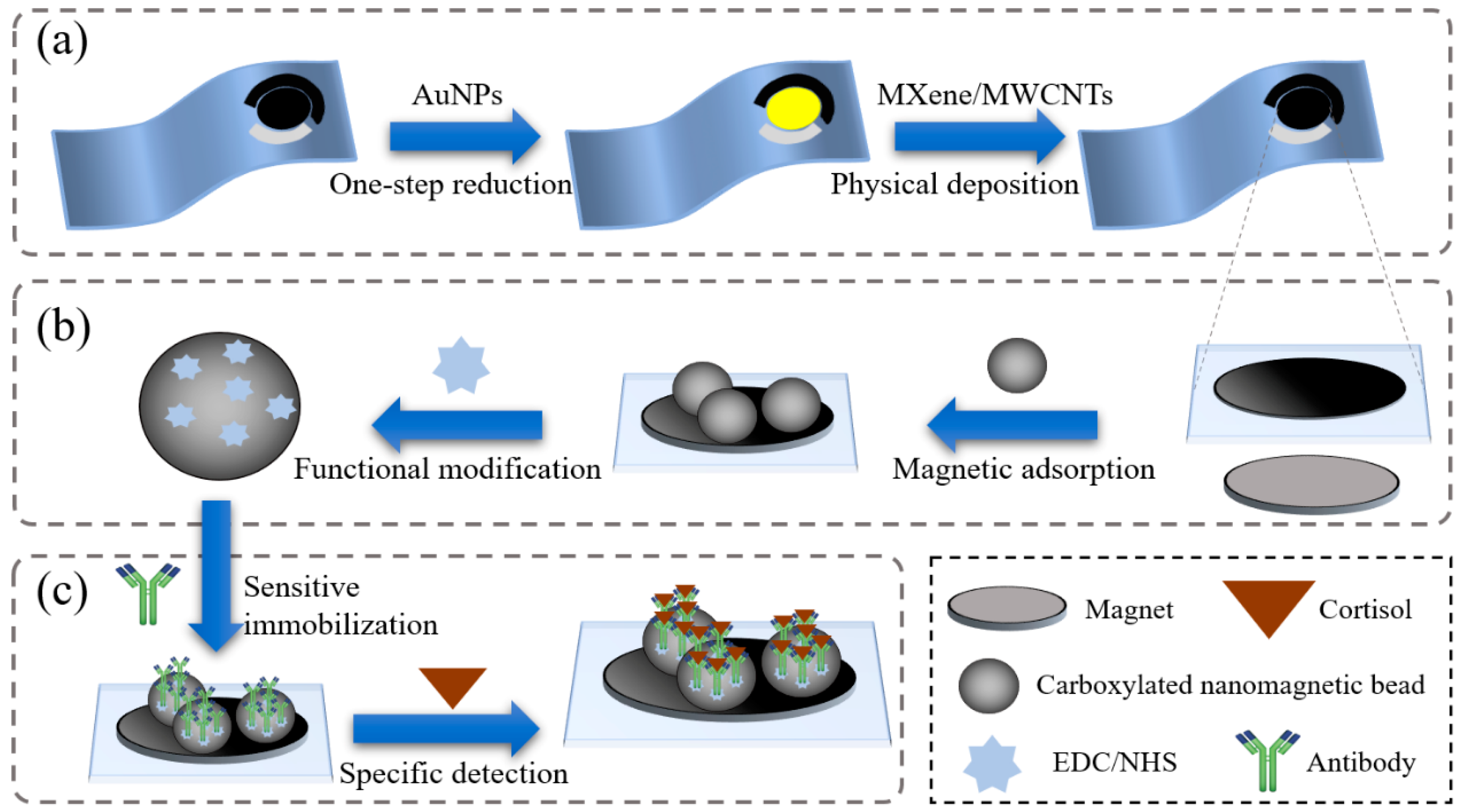 Biosensors 15 00140 g001 Biosensors 15 00140 g001