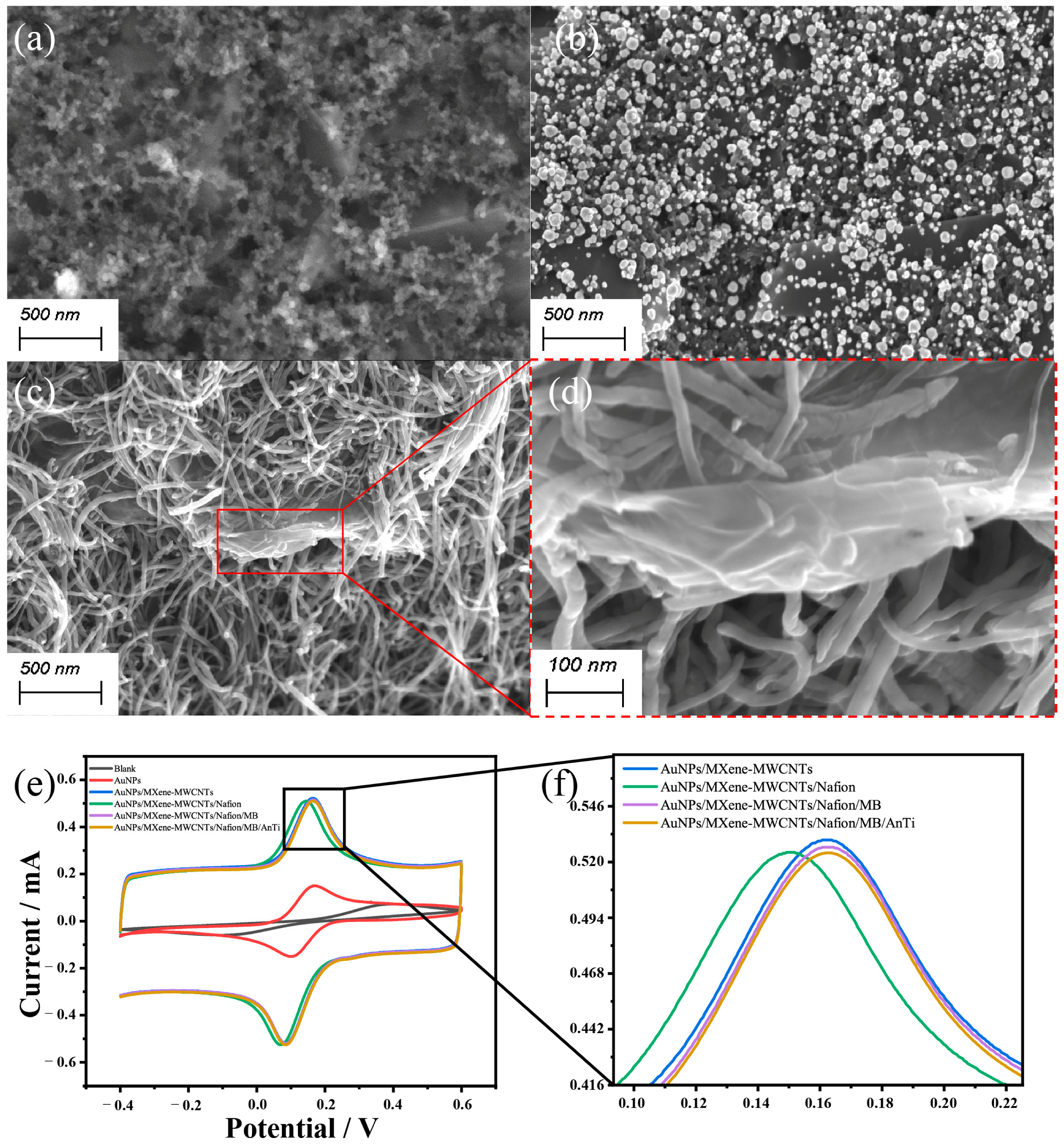 Biosensors 15 00140 g004 Biosensors 15 00140 g004