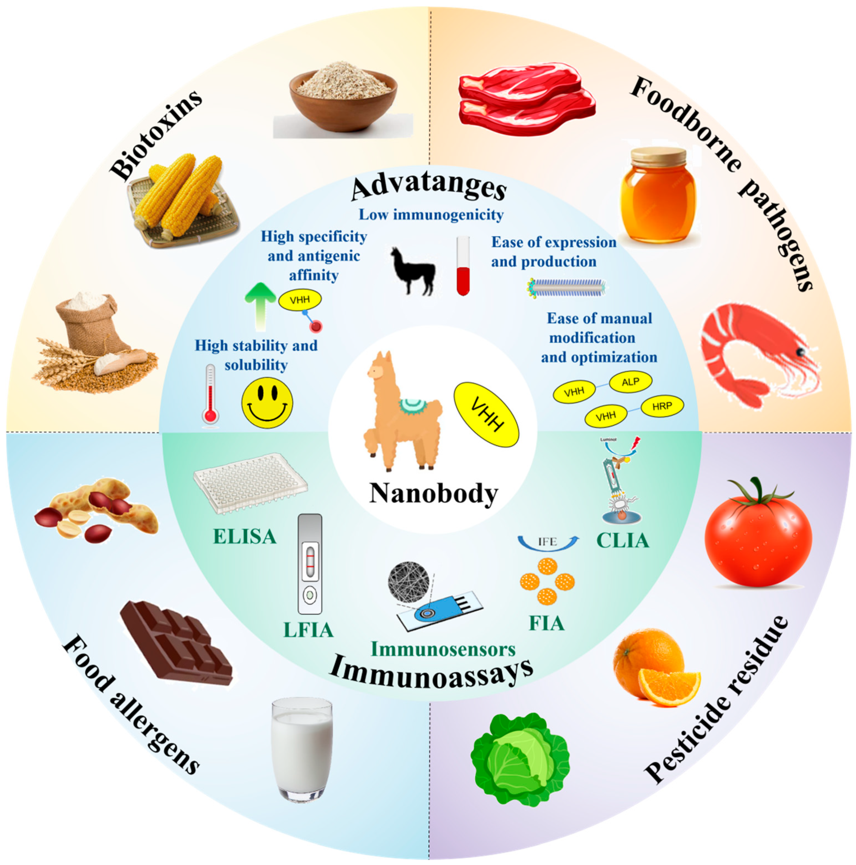 Biosensors 15 00183 g001