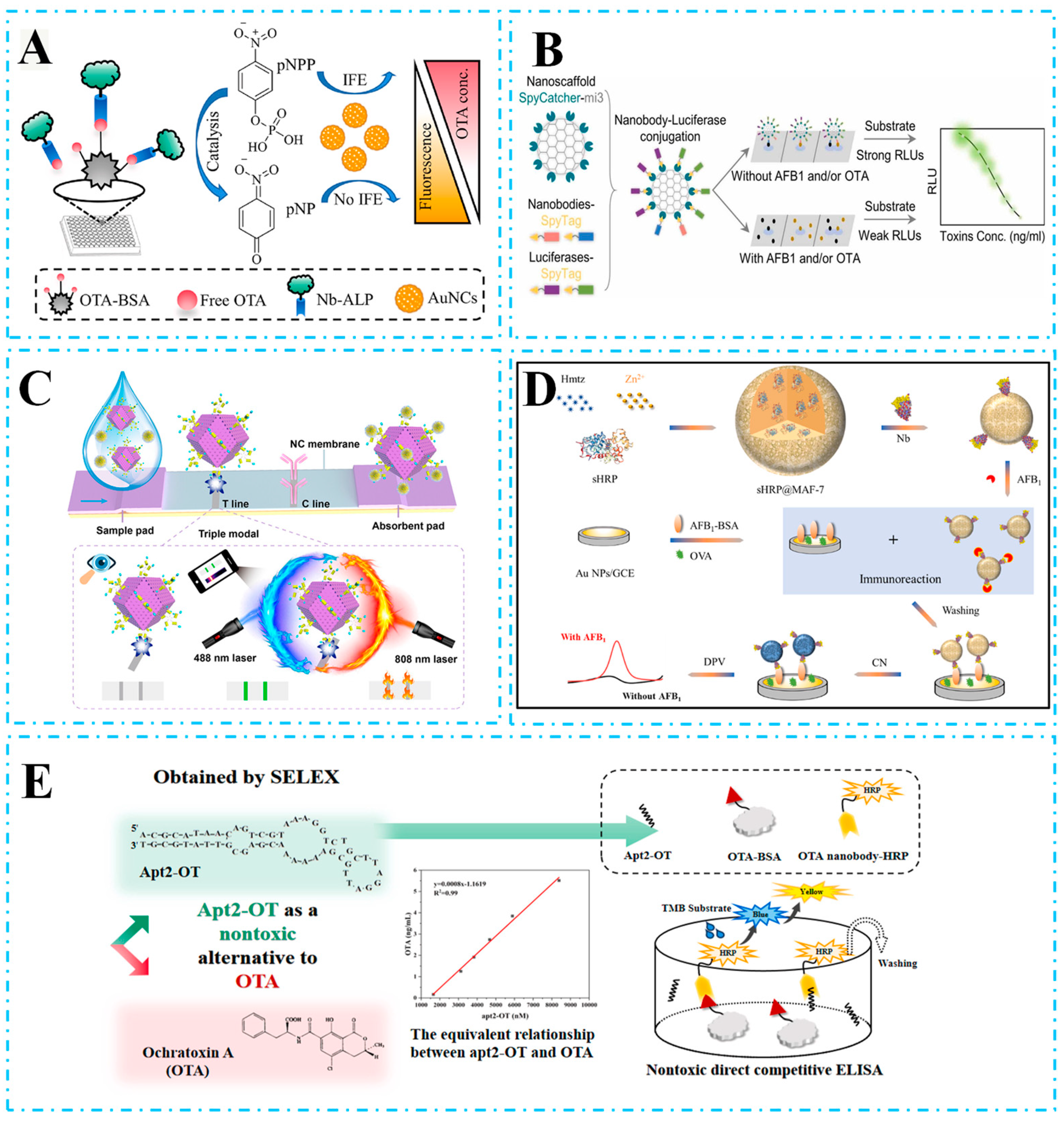 Biosensors 15 00183 g002