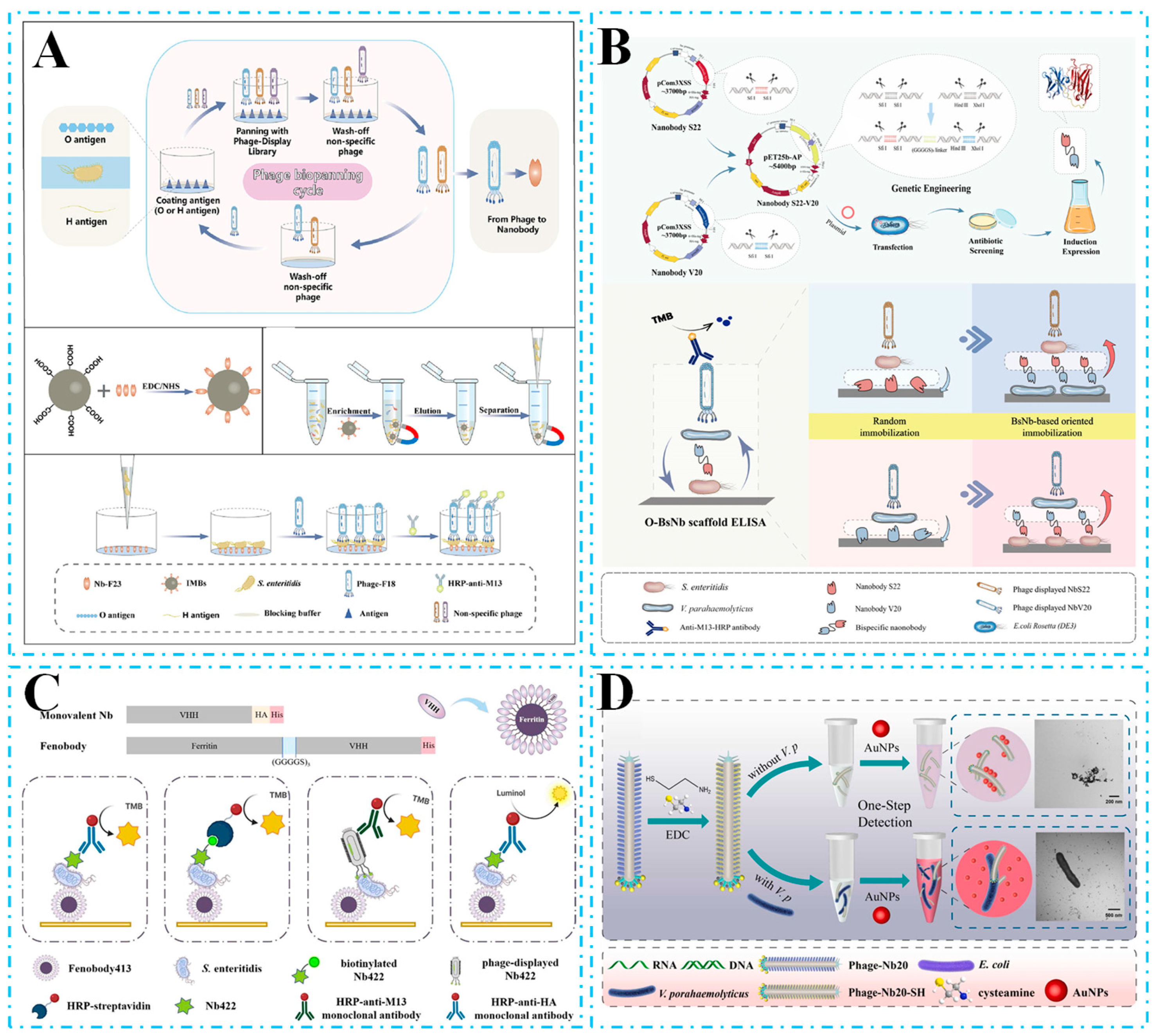 Biosensors 15 00183 g003