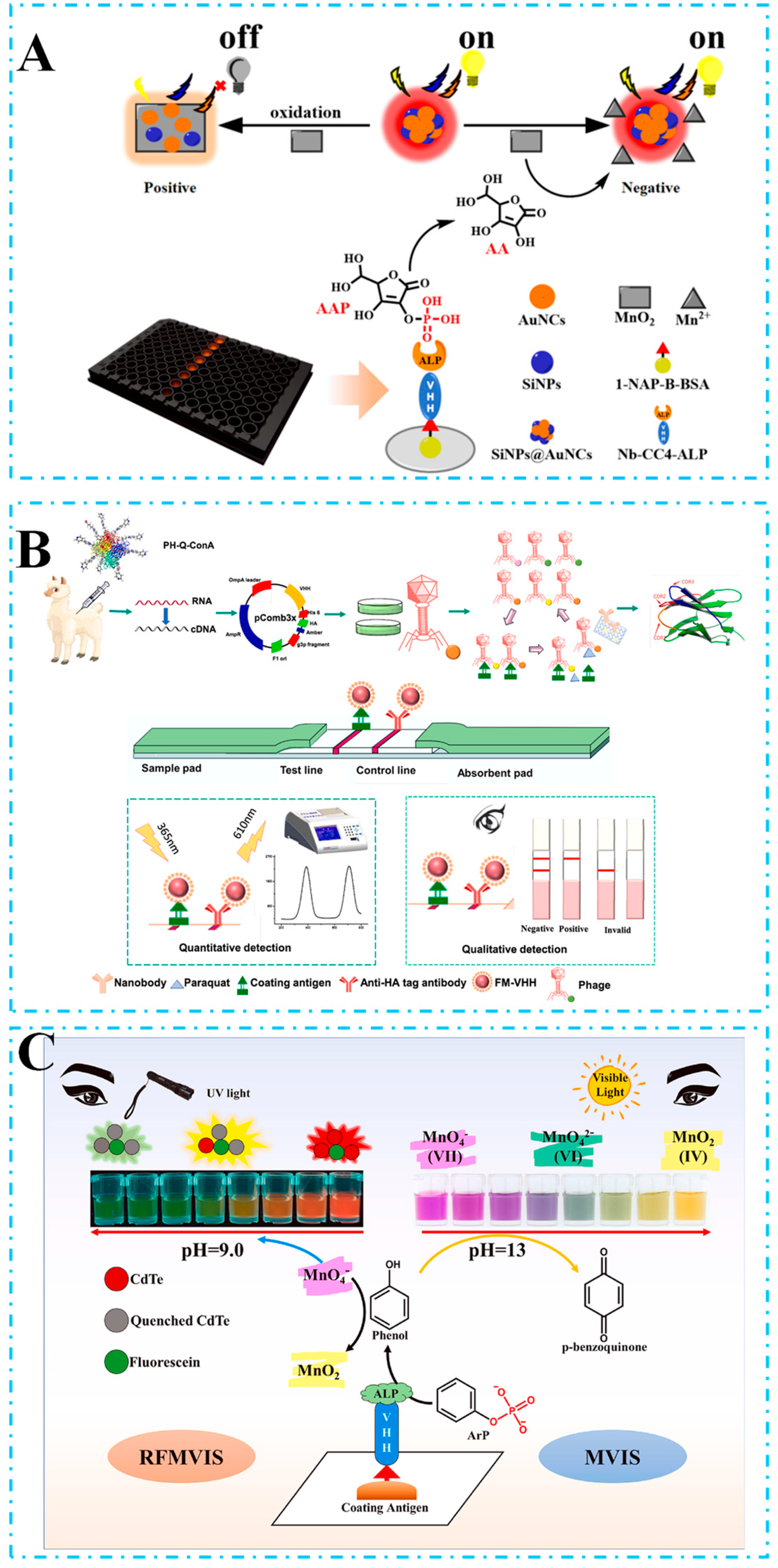 Biosensors 15 00183 g004