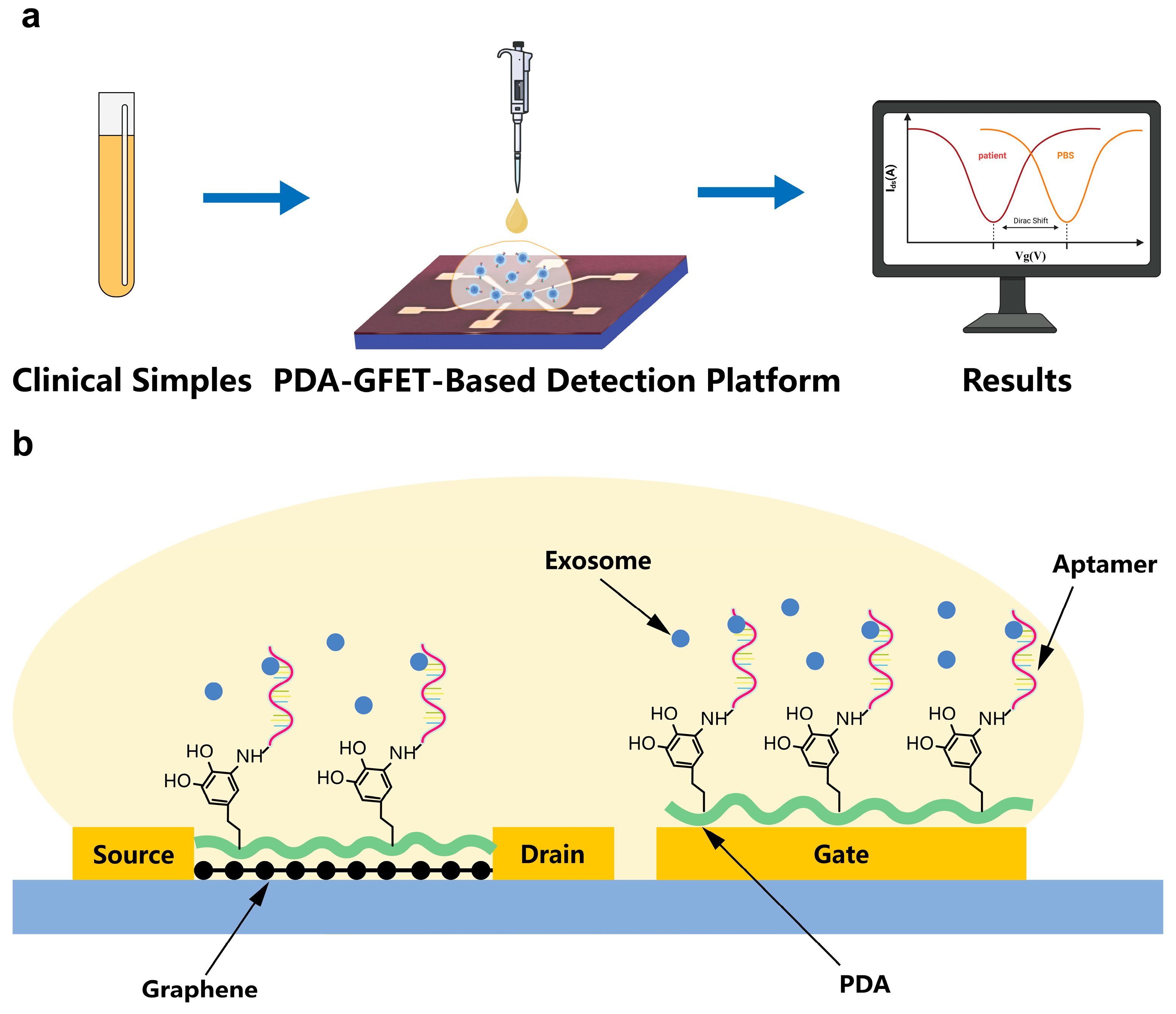 Biosensors 15 00207 g001