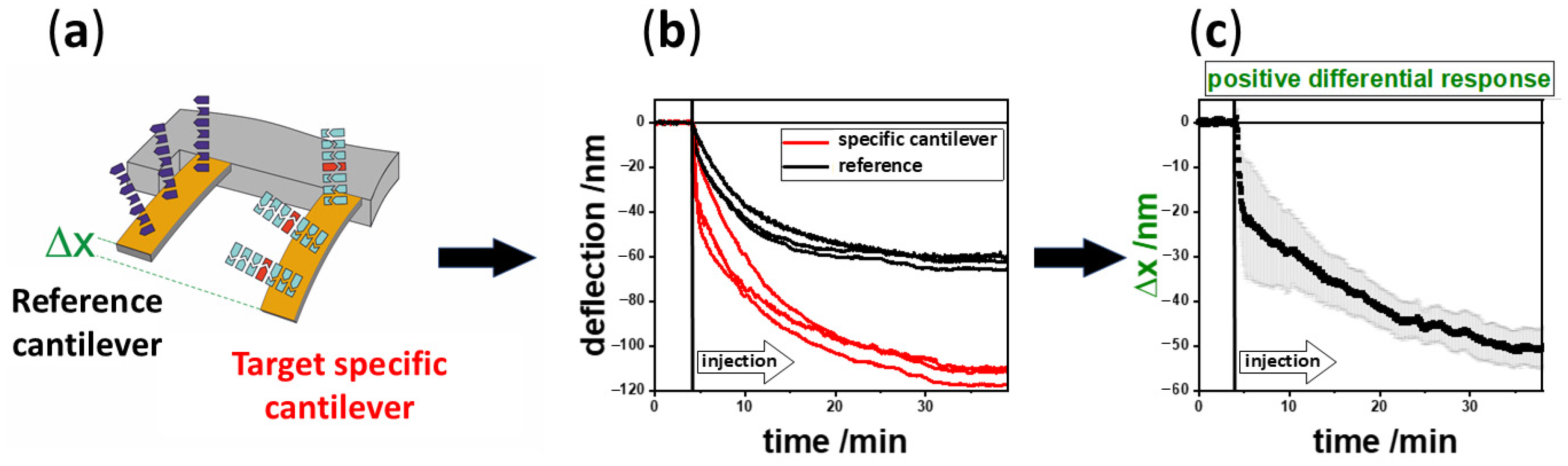 Biosensors 15 00217 g002