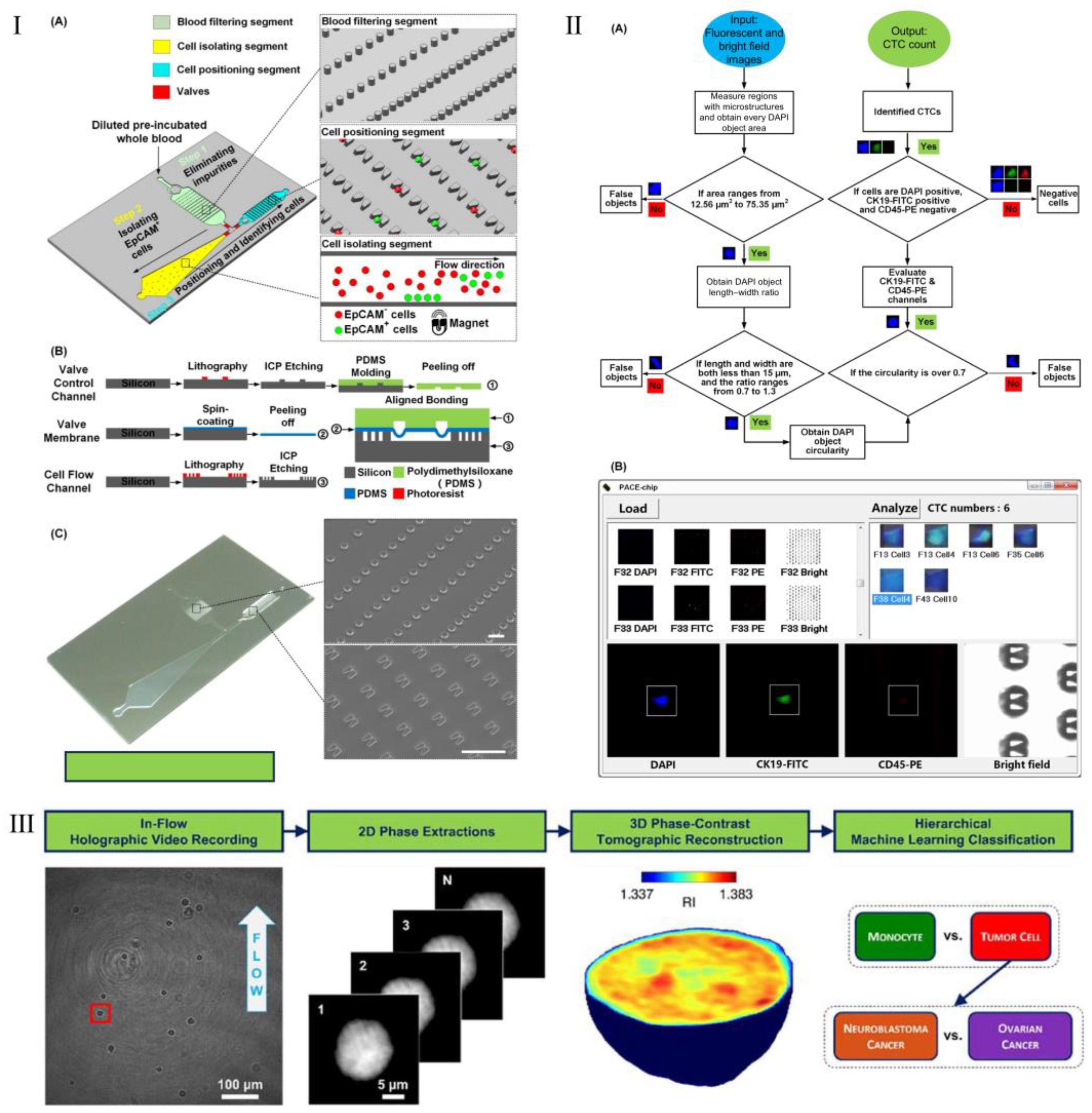 Biosensors 15 00220 g007