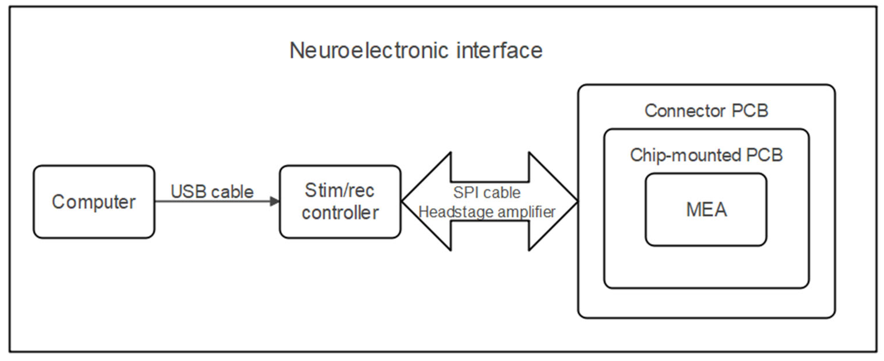 Biosensors 15 00224 g001