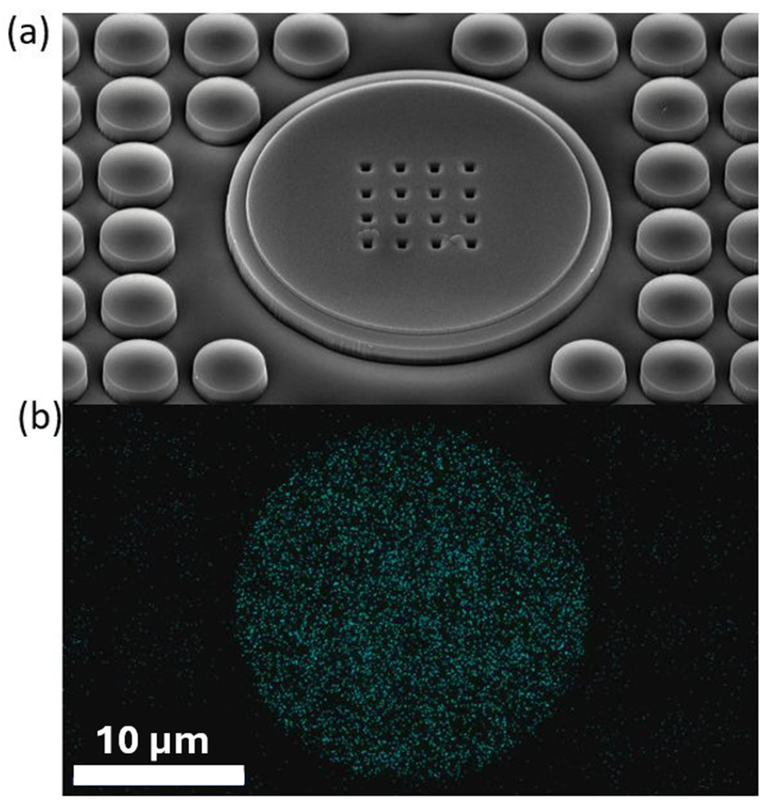 Biosensors 15 00224 g003
