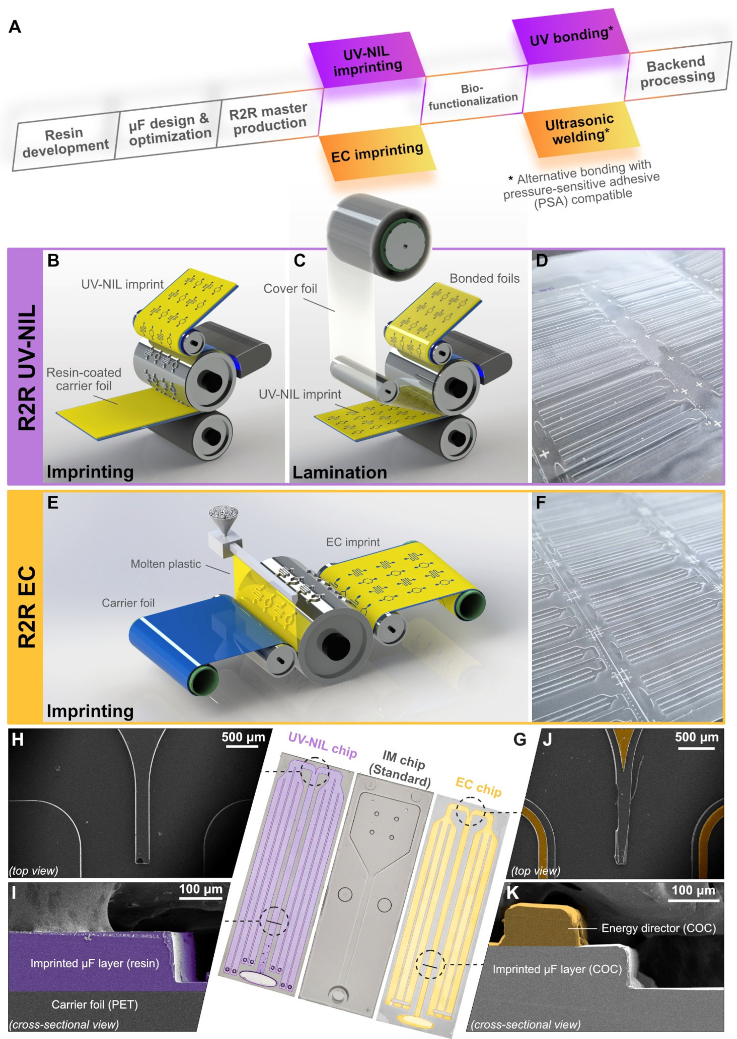 Biosensors 15 00229 g001