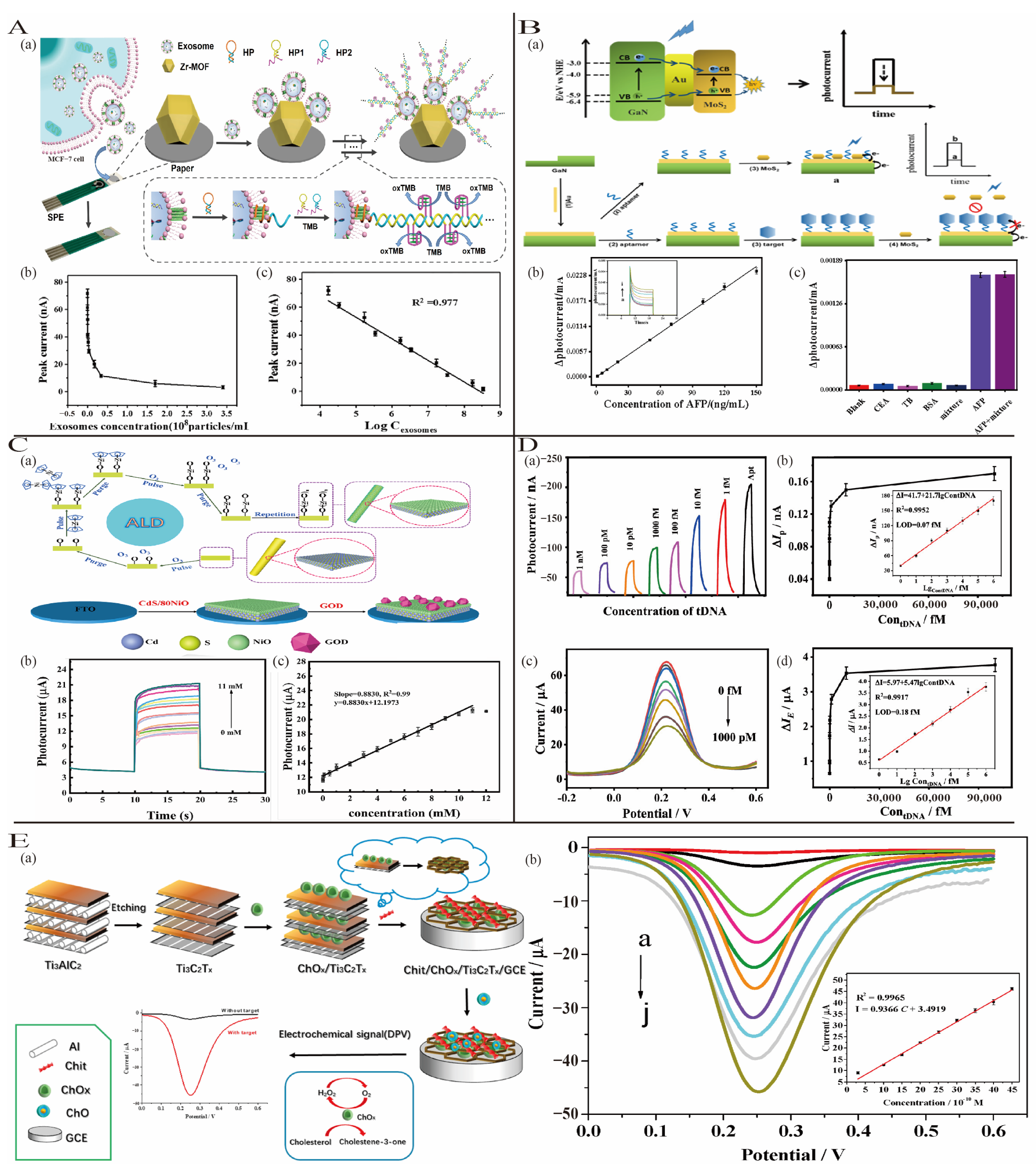 Biosensors 15 00231 g005