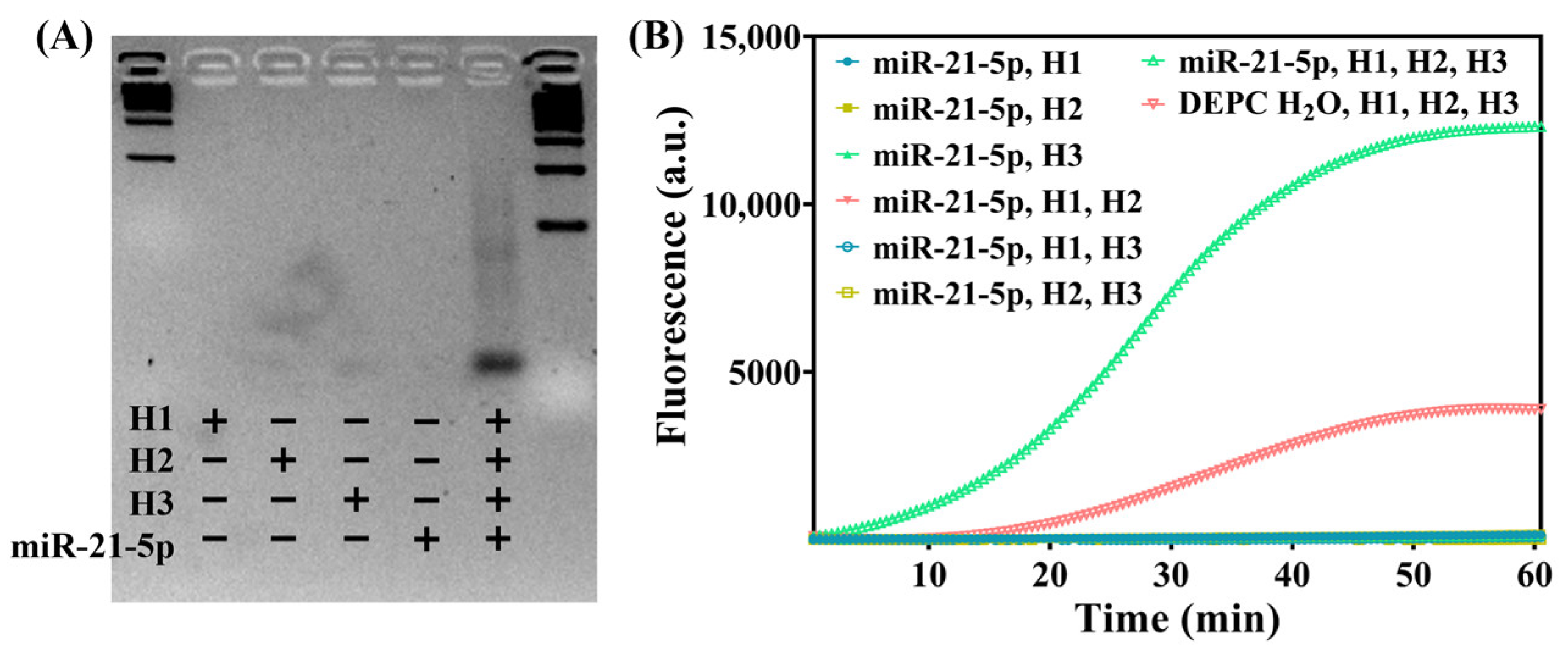 Biosensors 15 00233 g002