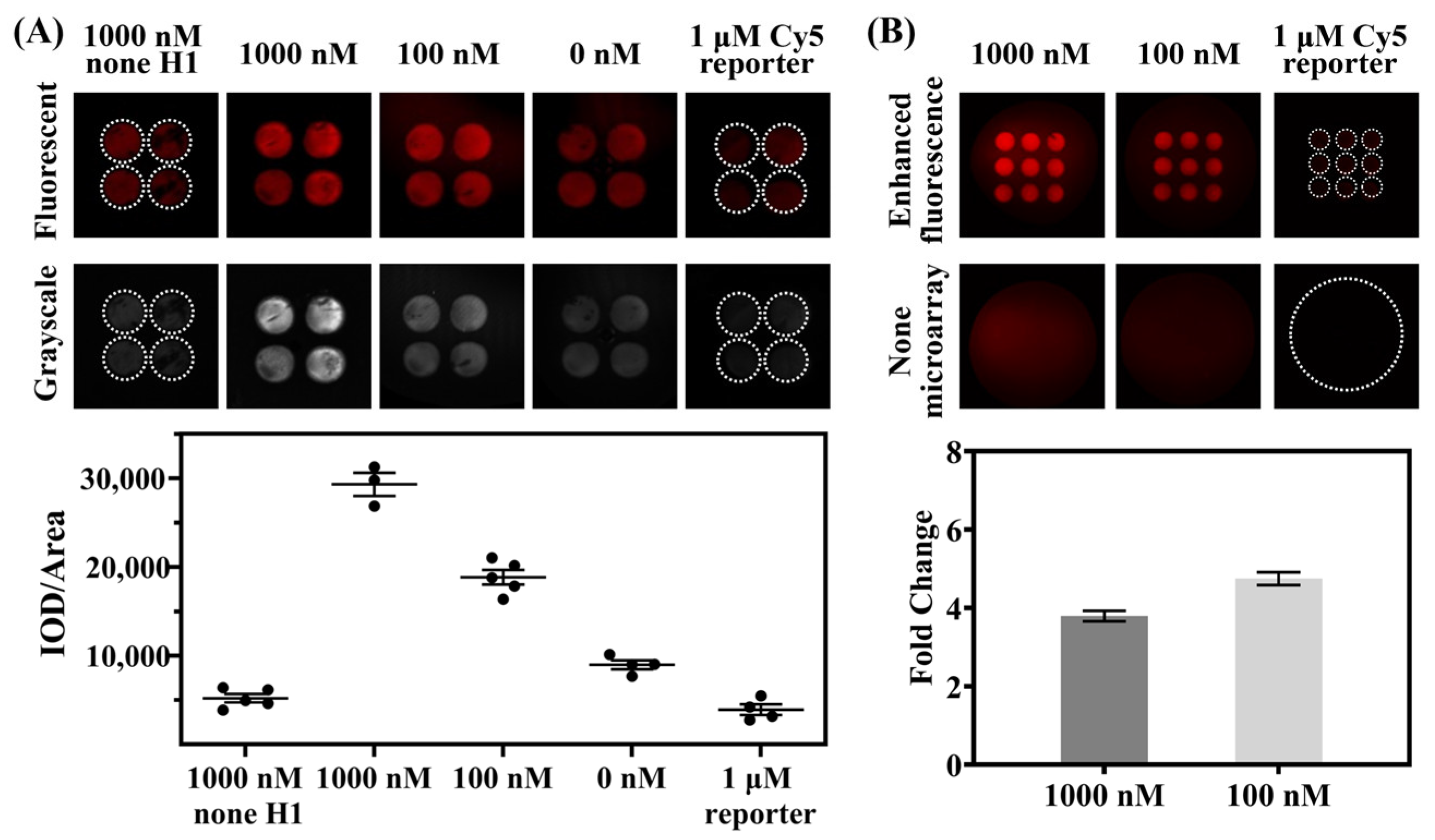 Biosensors 15 00233 g005