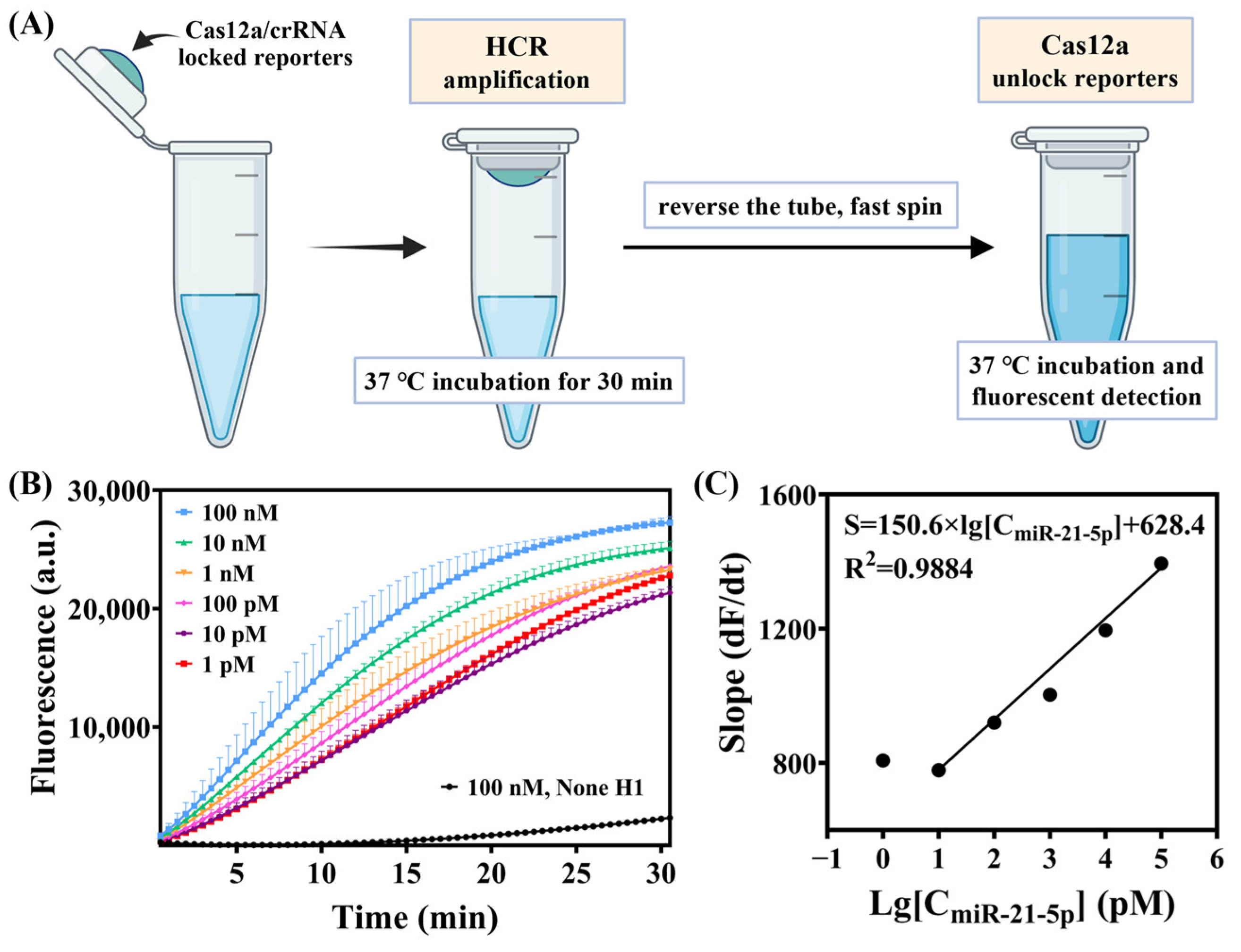 Biosensors 15 00233 g006