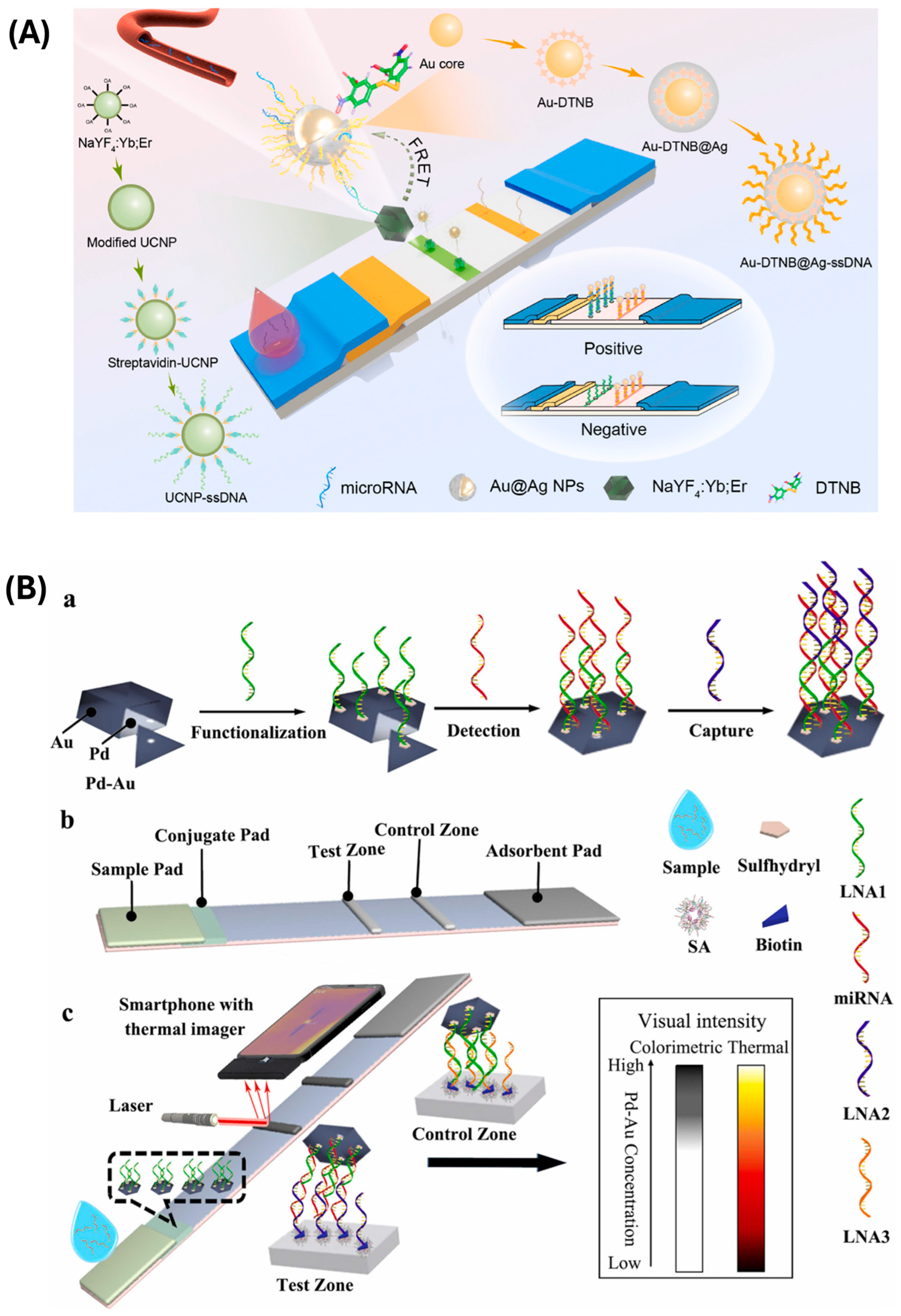 Biosensors 15 00238 g004 Biosensors 15 00238 g004