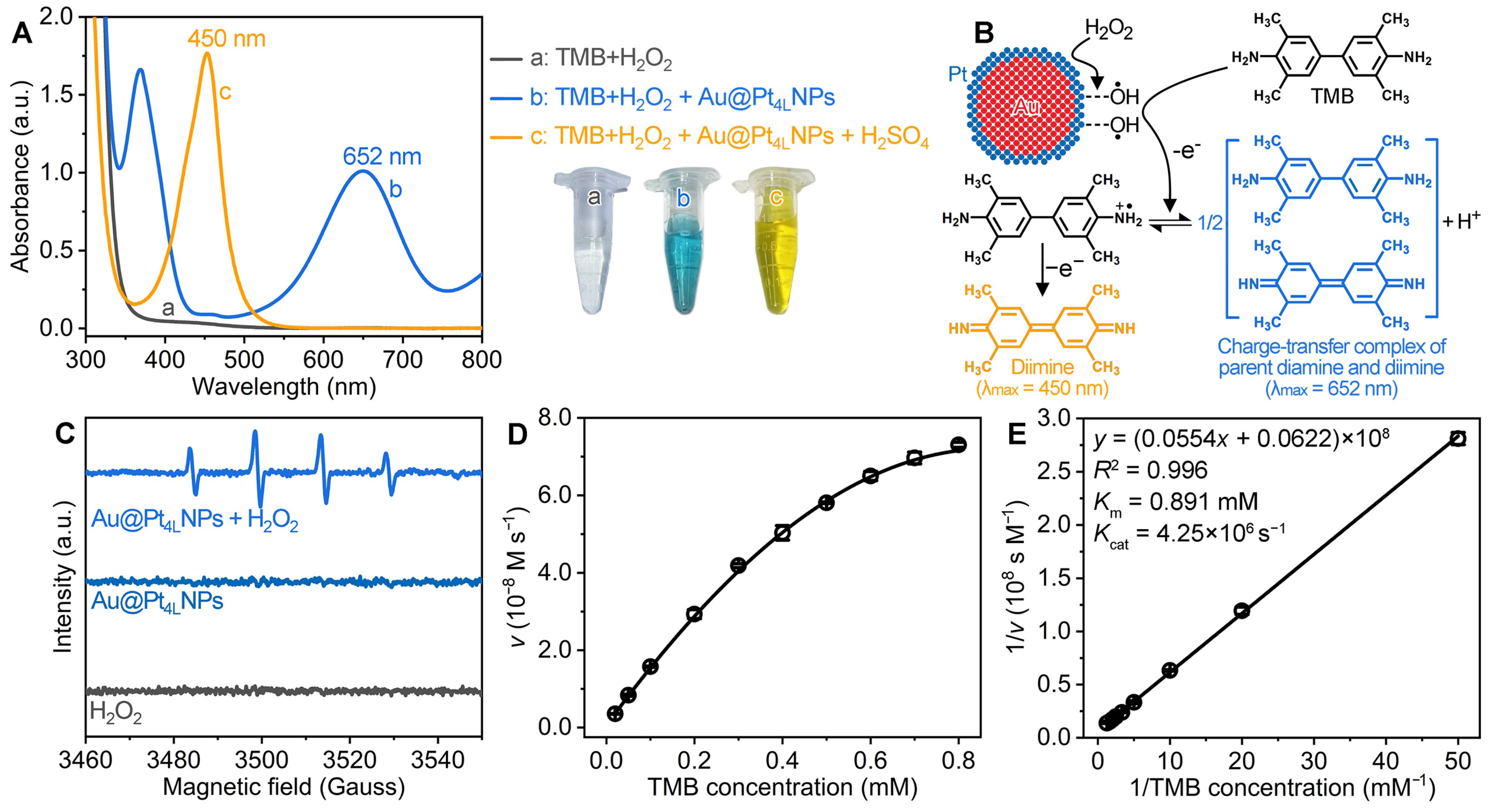 Biosensors 15 00239 g002