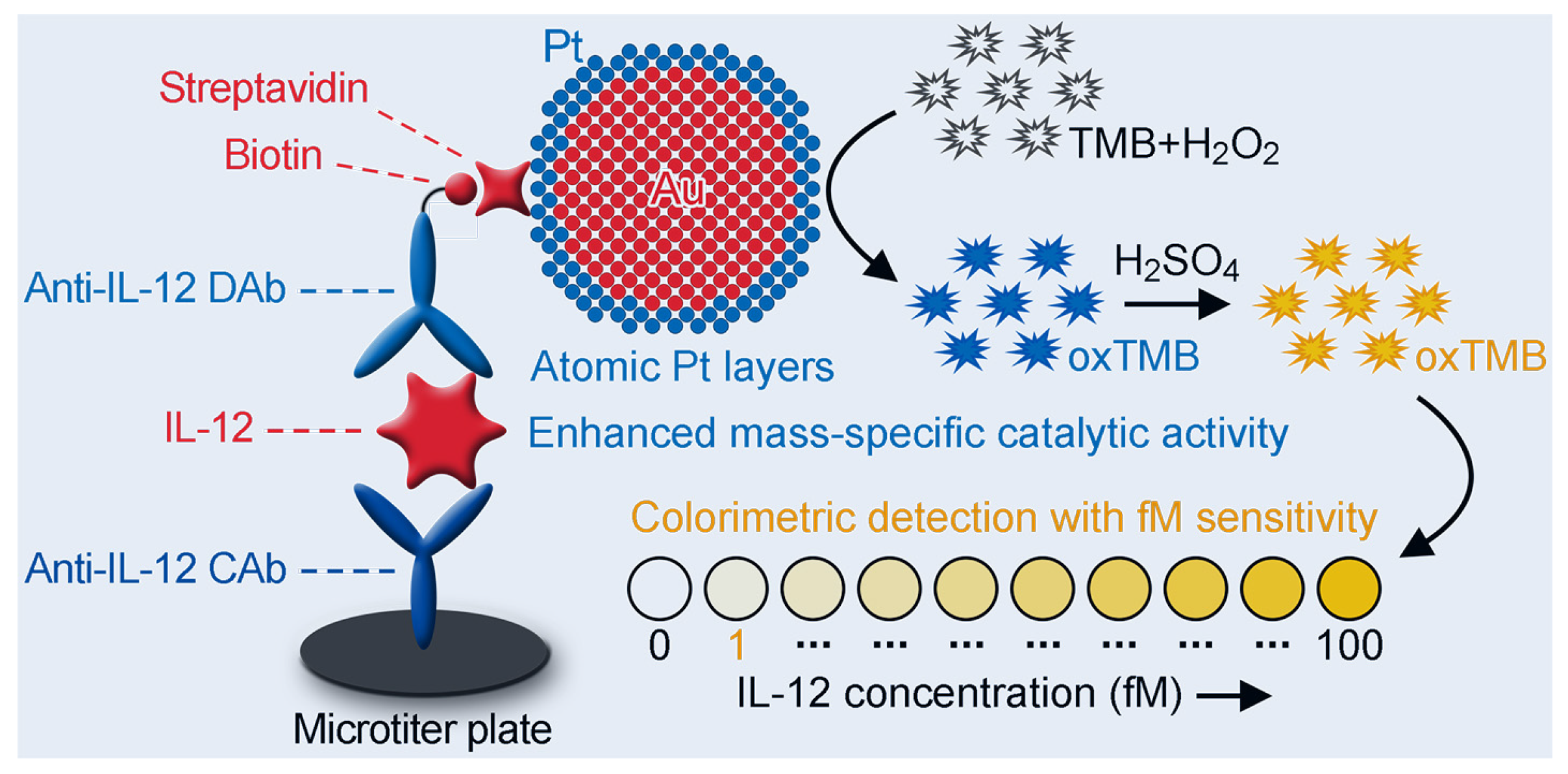 Biosensors 15 00239 sch001
