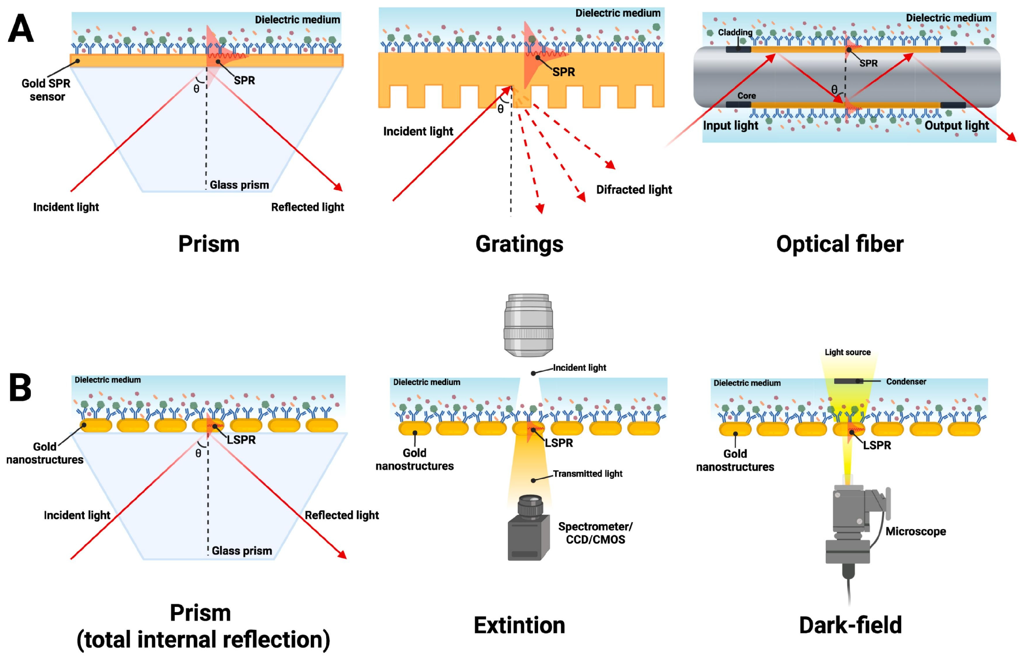 Biosensors 15 00245 g001 Biosensors 15 00245 g001