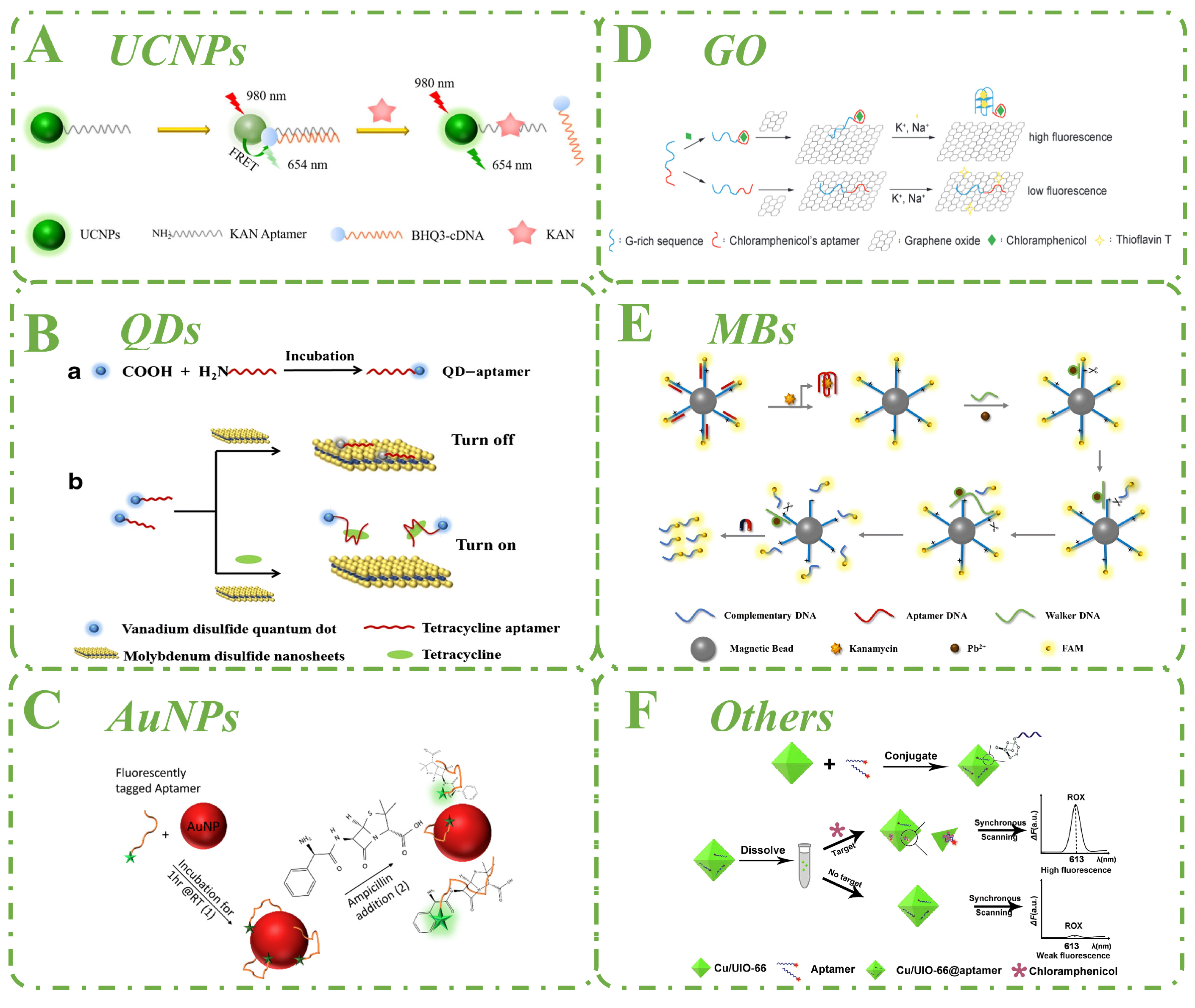Biosensors 15 00252 g004